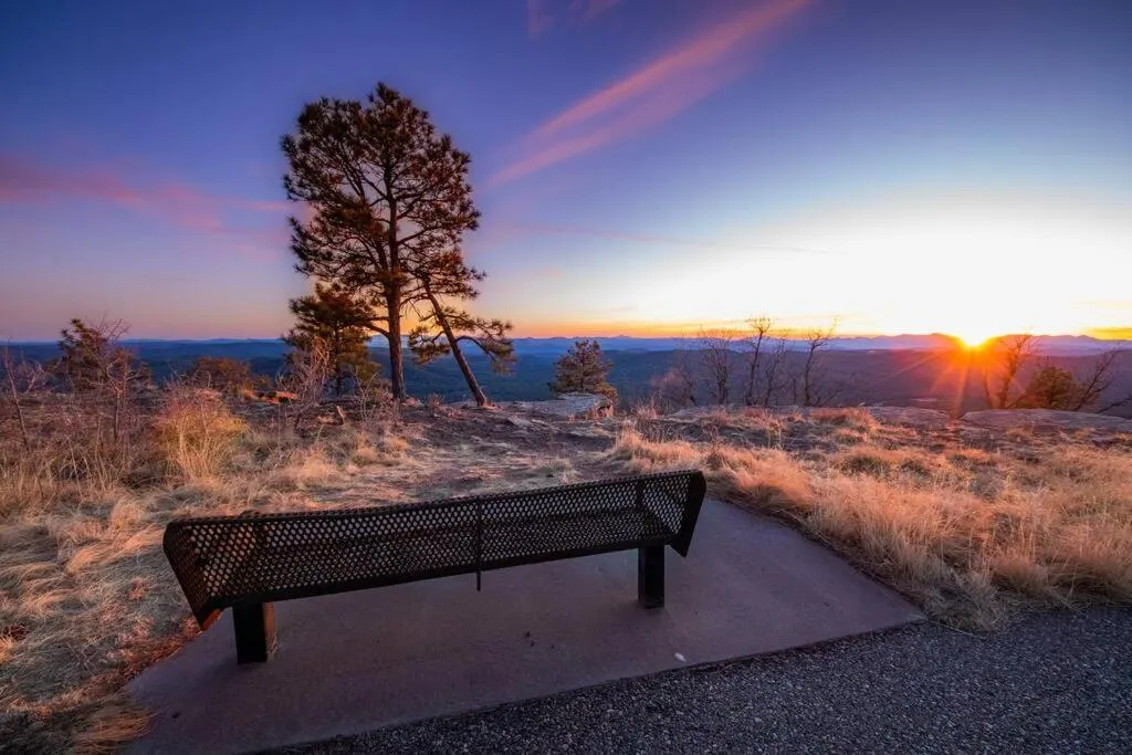 Forest Cabin 2 Birds Nest