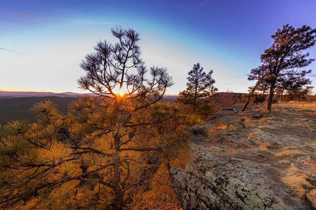 Forest Cabin 3 Bear's Den