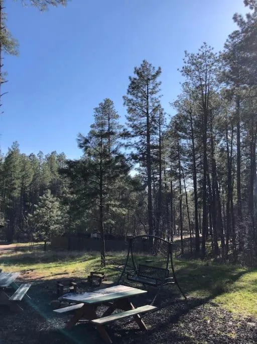 Forest Cabin 3 Bear's Den