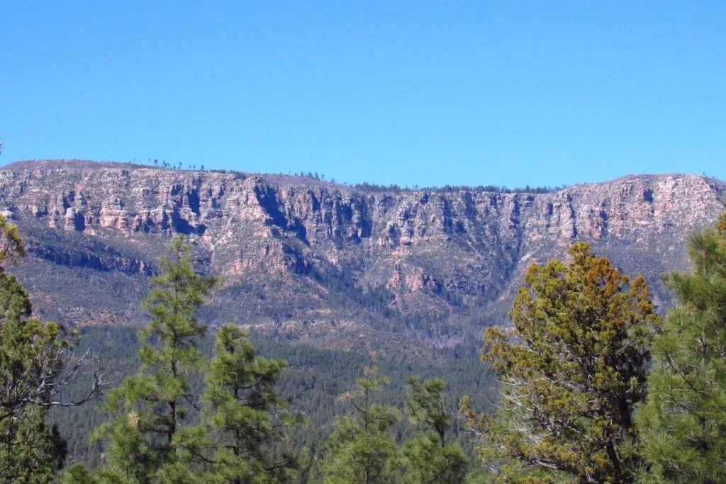 Forest Cabin 3 Bear's Den