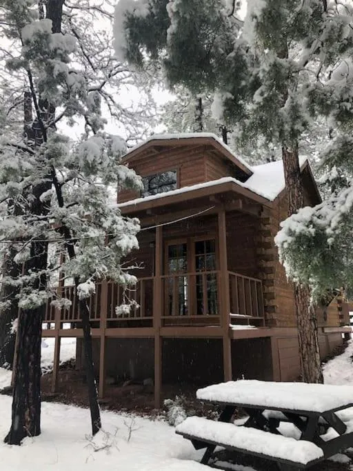 Forest Cabin 3 Bear's Den