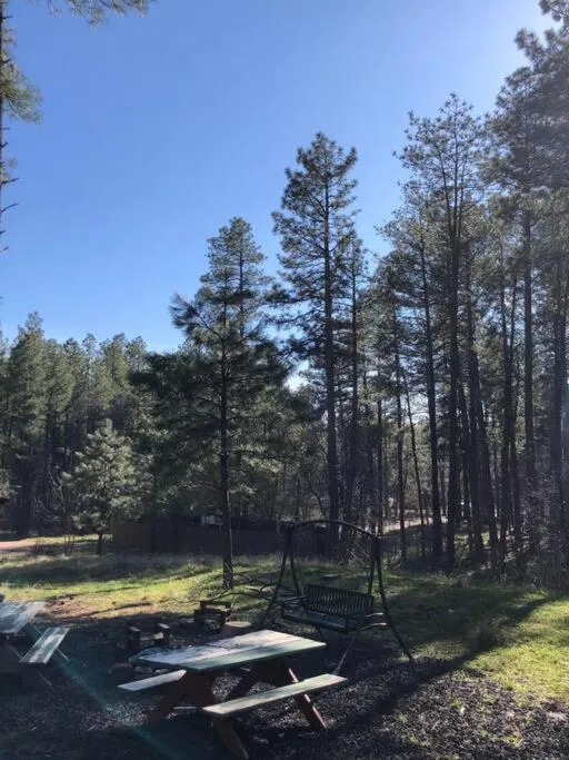 Forest Cabin 4 Cowboys Dream