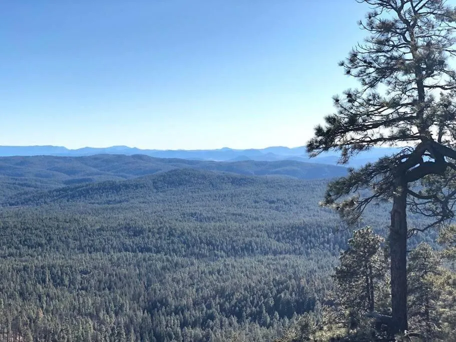 Forest Cabin 7 Seventh Heaven