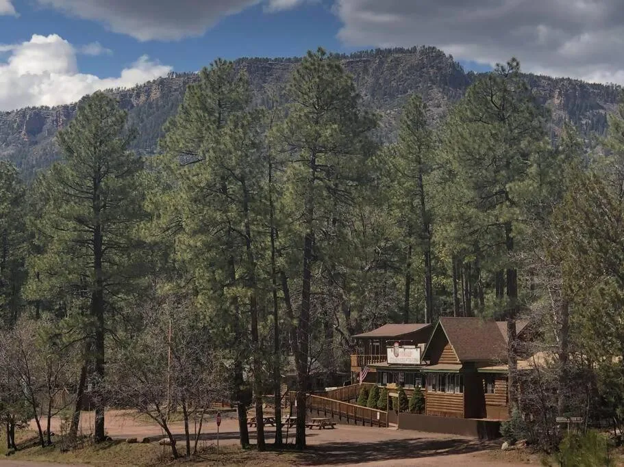 Forest Cabin 7 Seventh Heaven