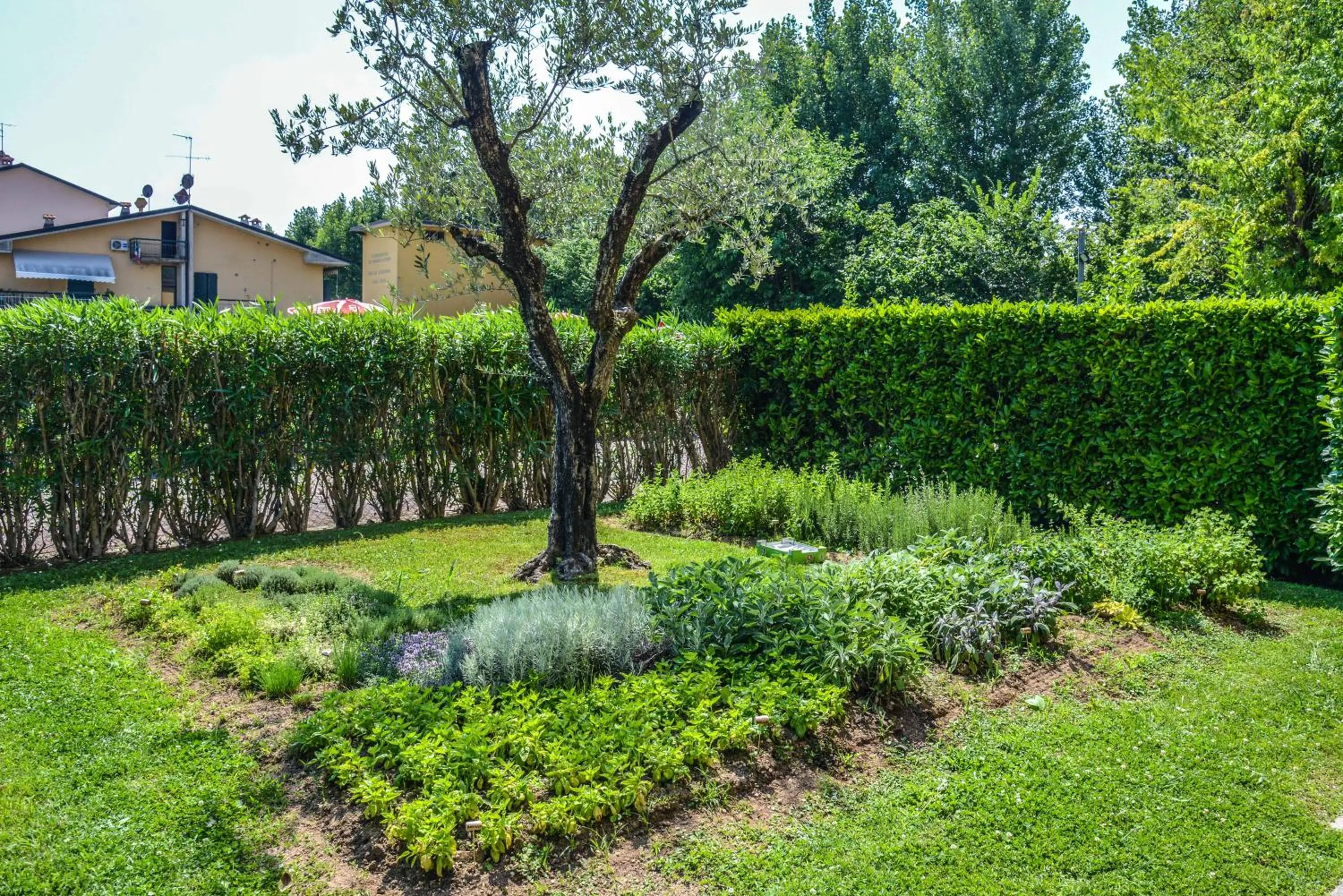 Natural landscape in Hotel Riel