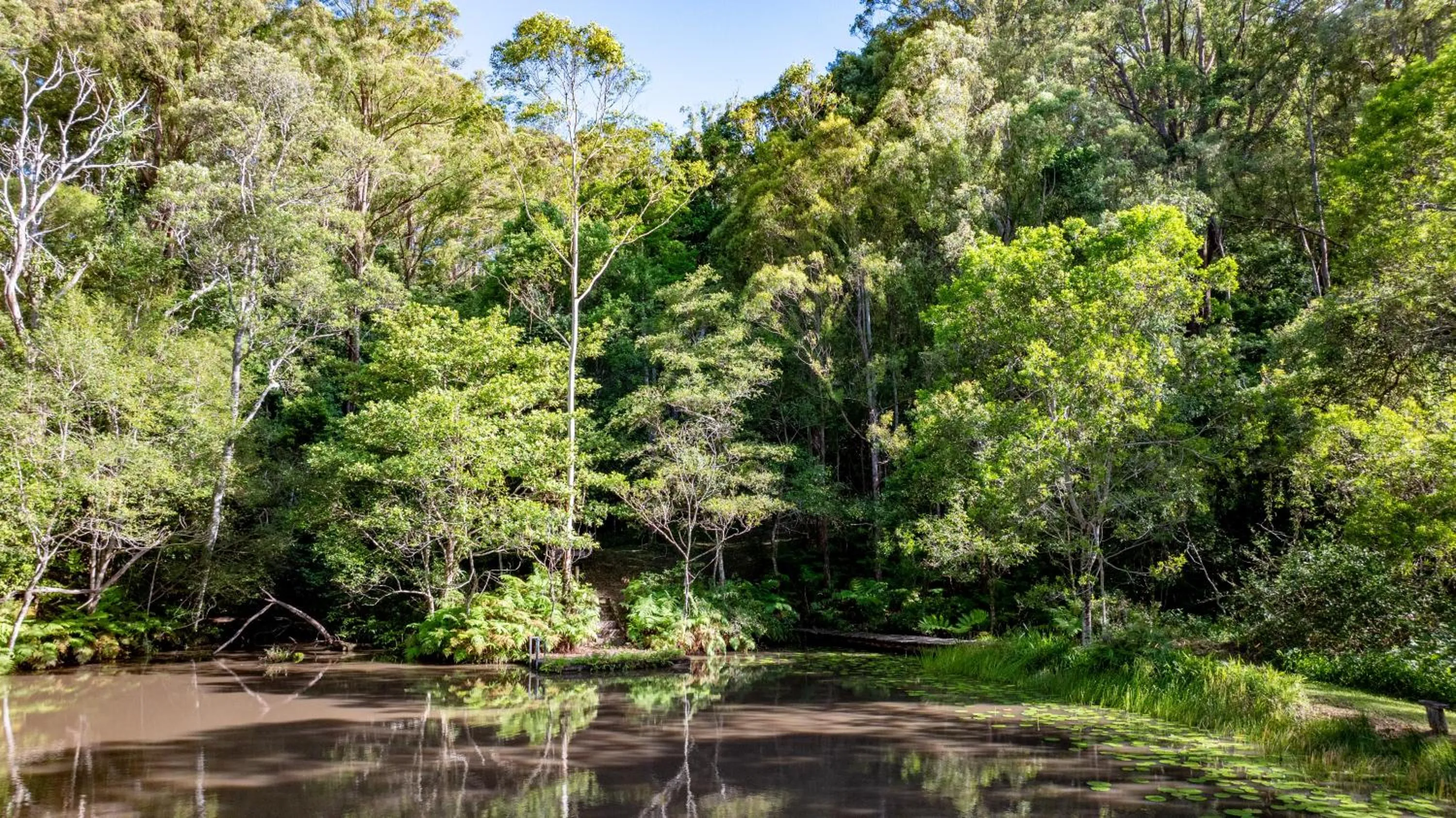 Natural landscape in Whispering Valley Cottage Retreat