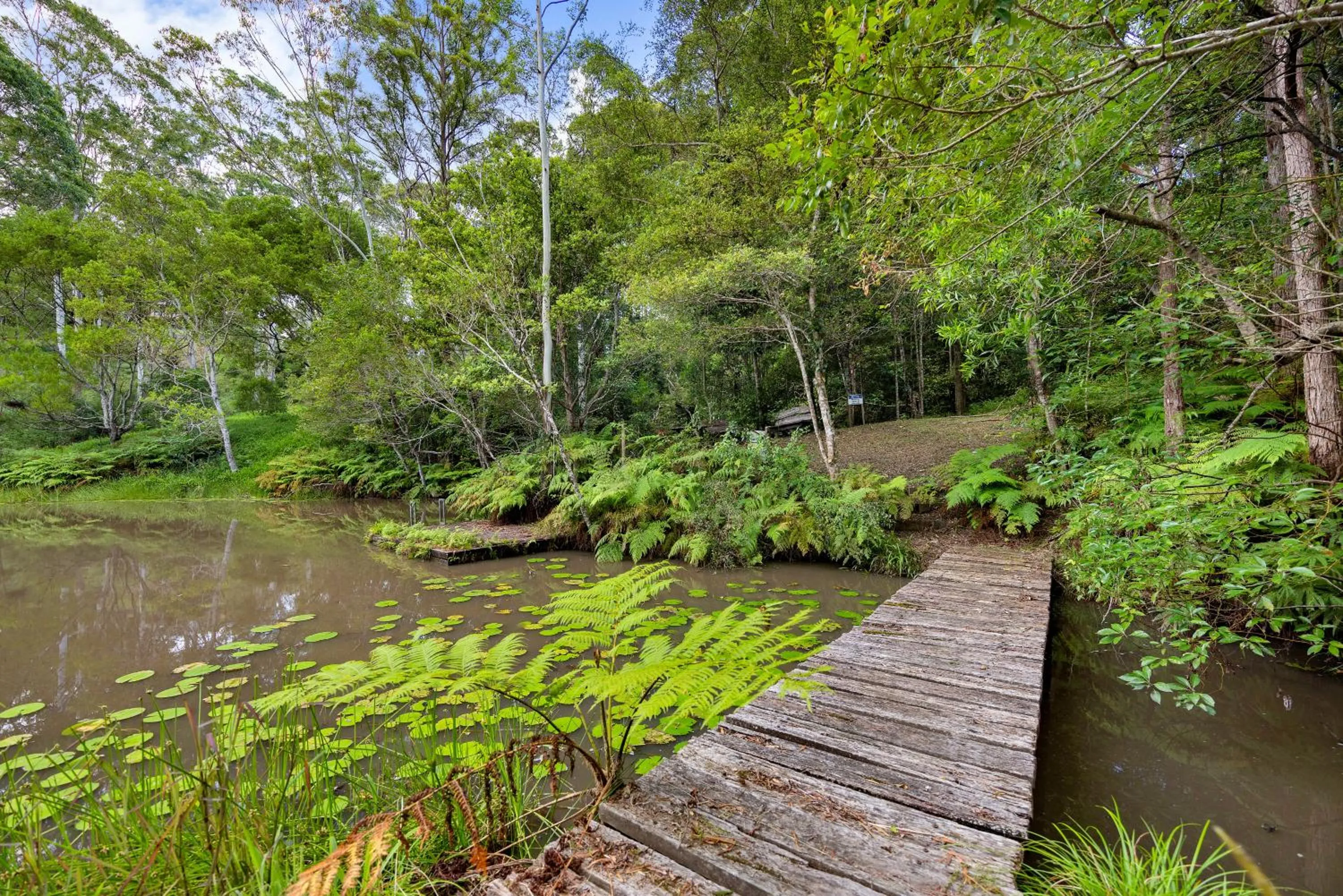 Natural landscape in Whispering Valley Cottage Retreat