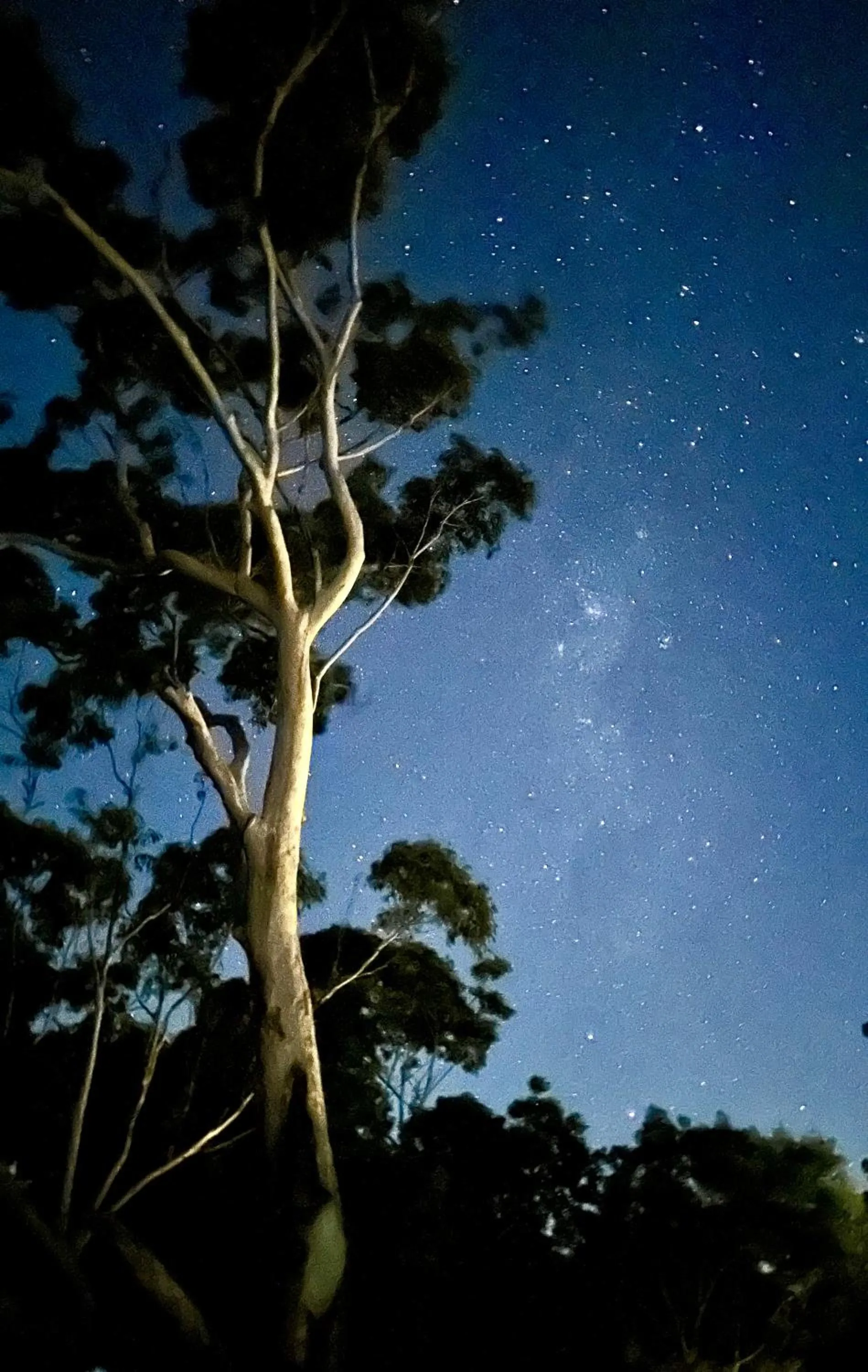 Night in Whispering Valley Cottage Retreat