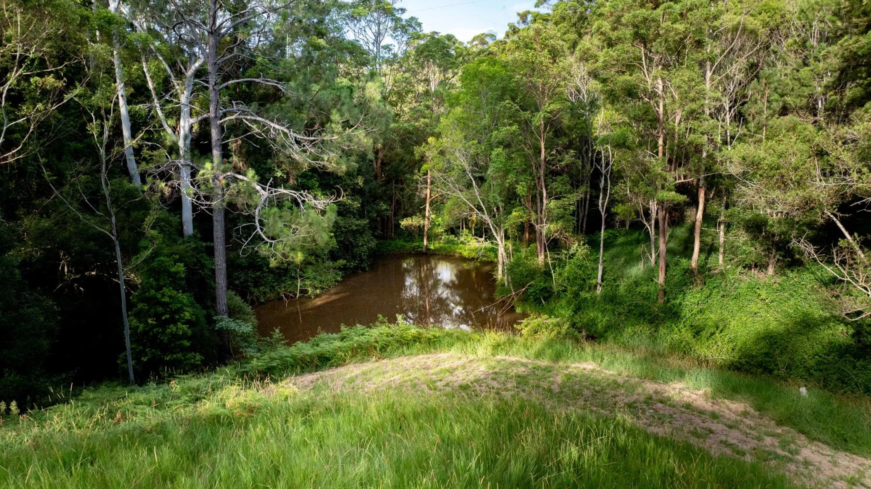 Natural landscape in Whispering Valley Cottage Retreat