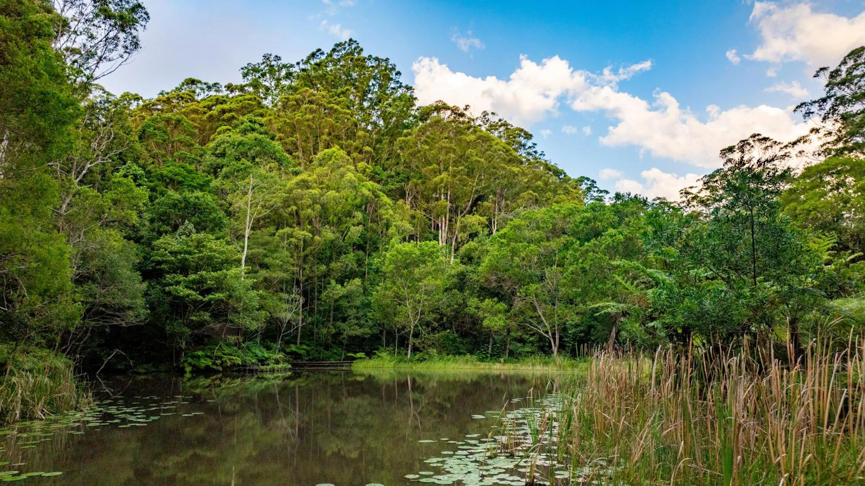 Natural landscape in Whispering Valley Cottage Retreat