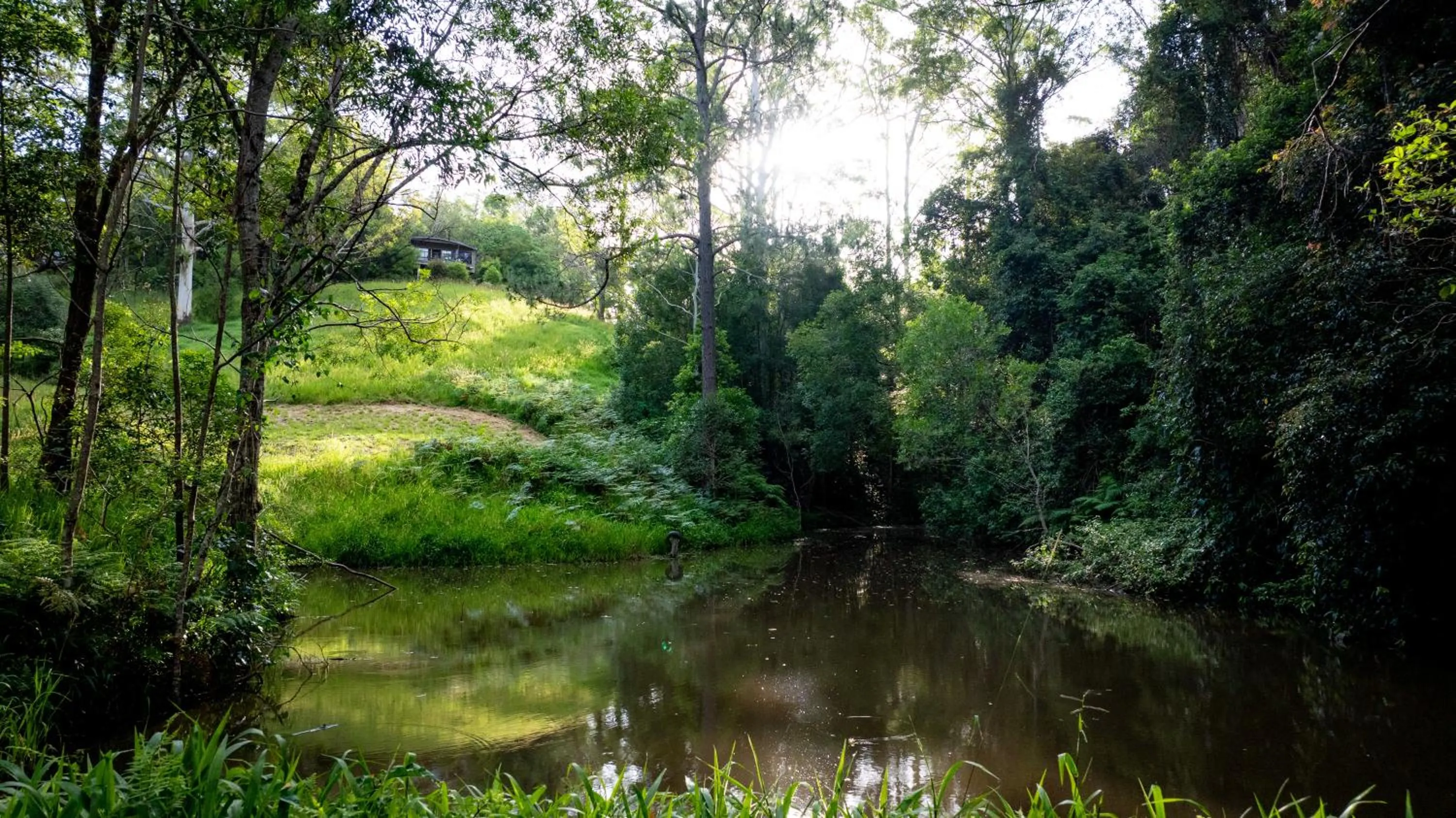 Natural landscape in Whispering Valley Cottage Retreat