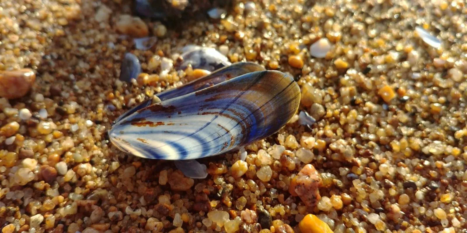 Chambre d'hôtes près de la plage