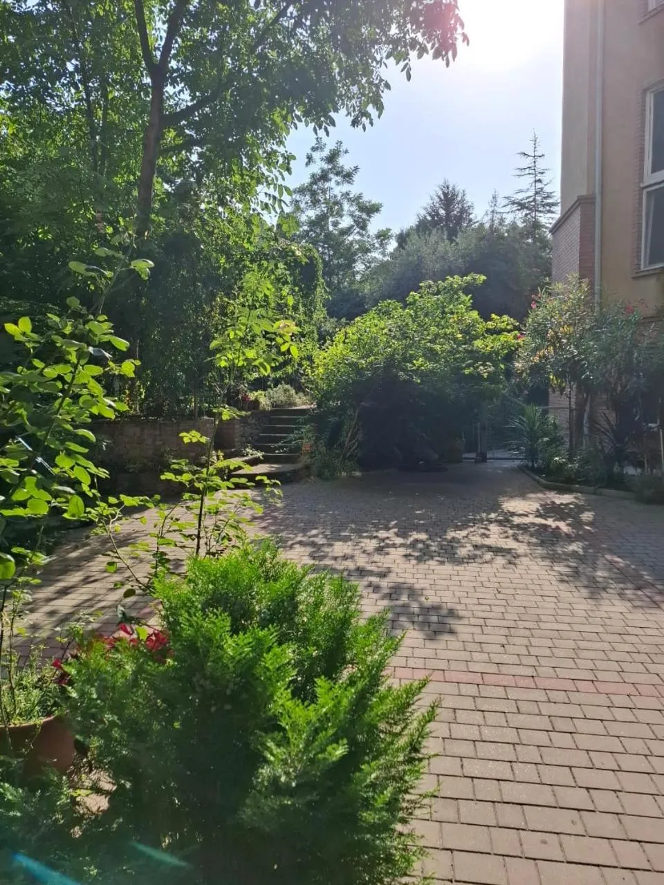 Spring in Hotel Aira Plaza