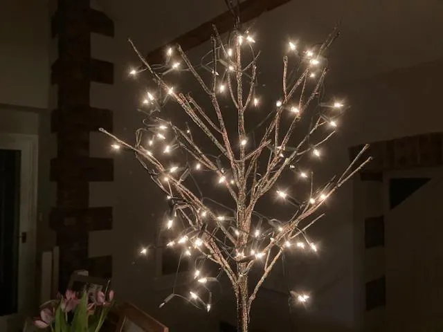 Tresithick Vean Bed and Breakfast