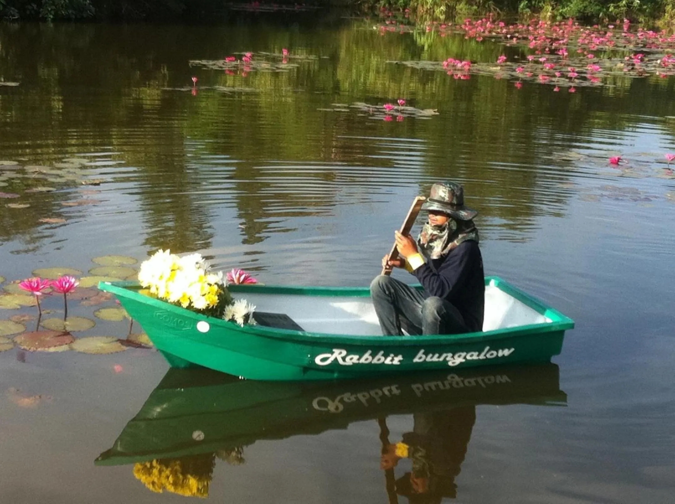 Natural landscape in Rabbit Bungalow