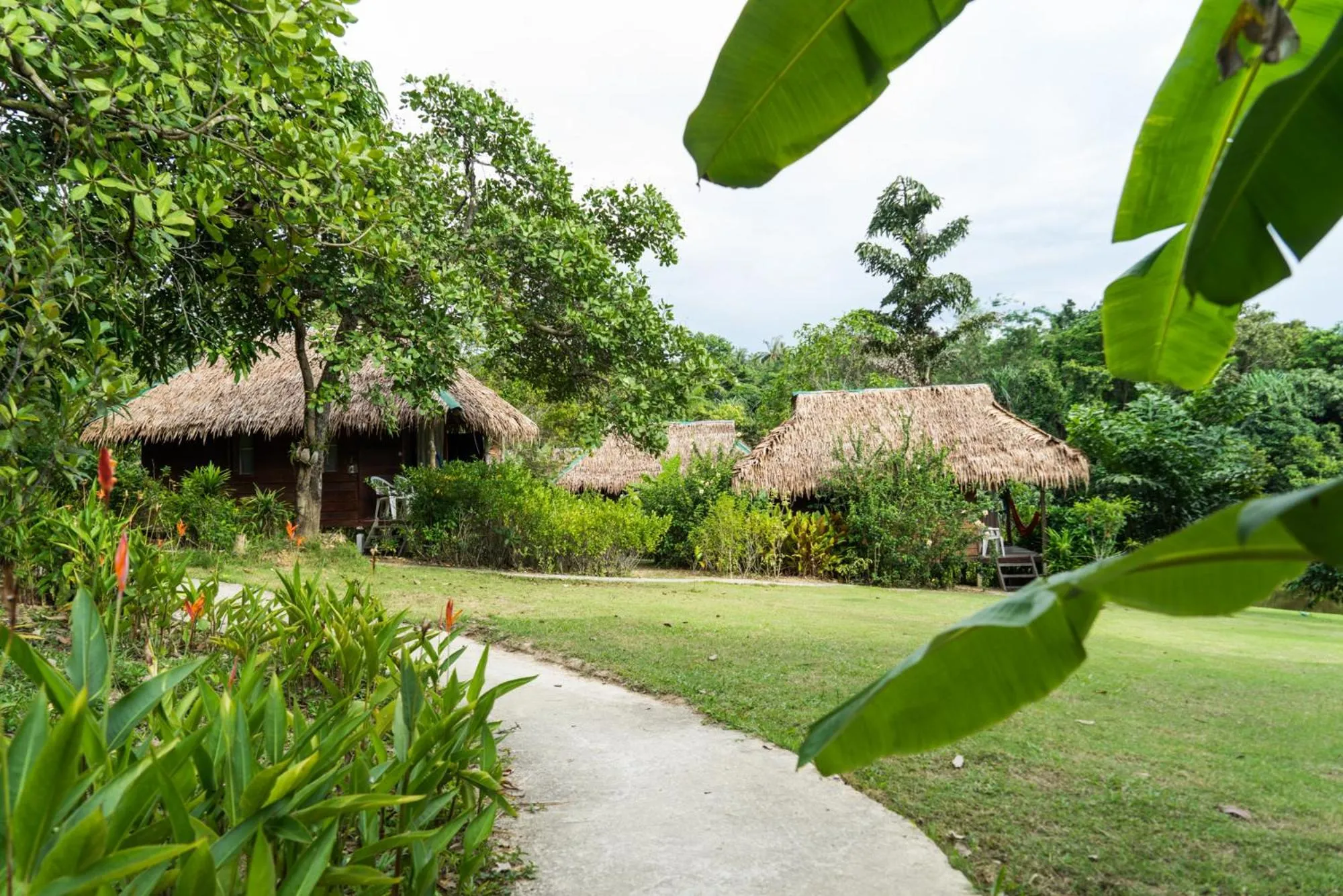 Garden view in Rabbit Bungalow