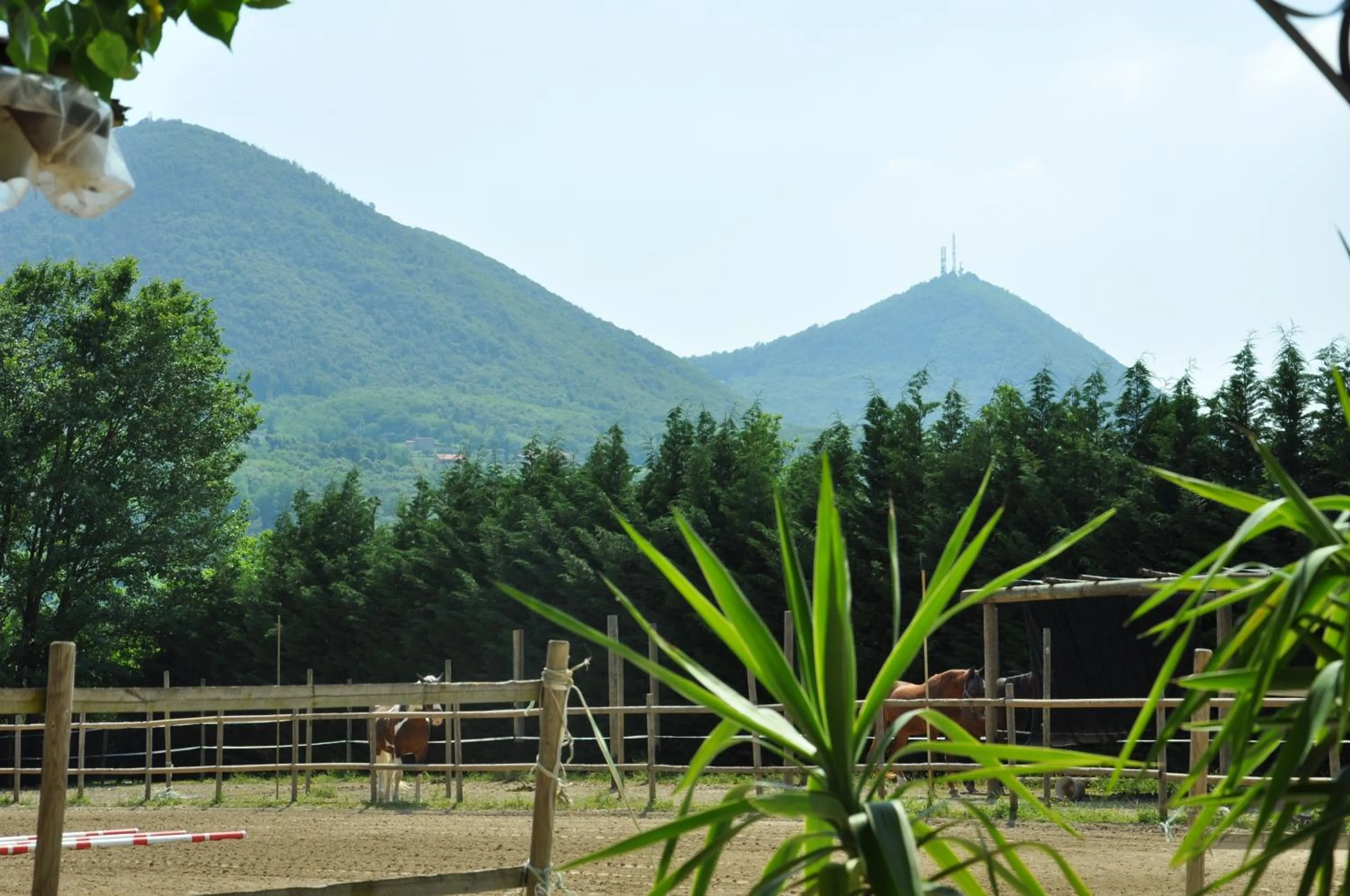 Mountain view in Aiceltis