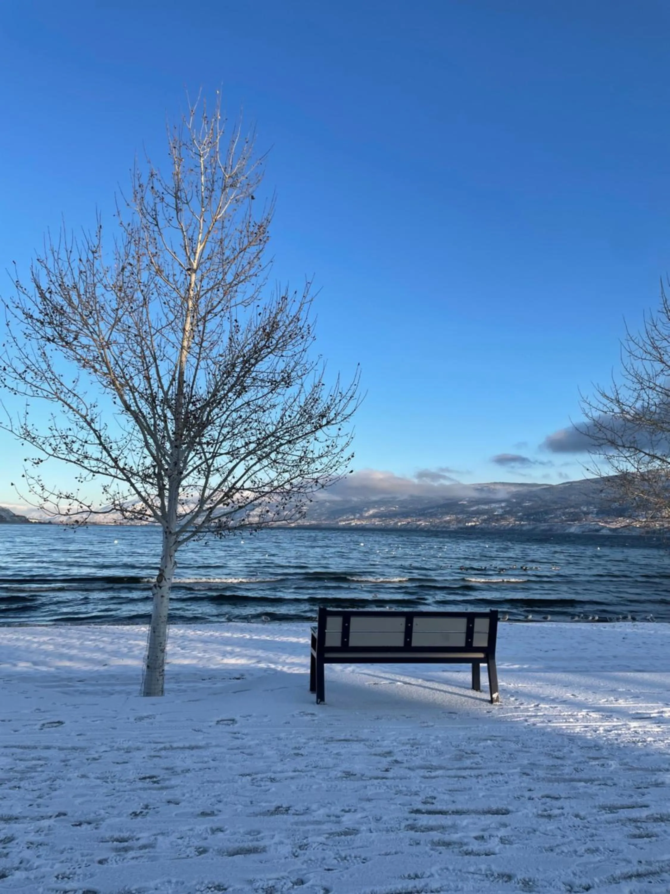 Winter in Kettle Valley Beach Resort