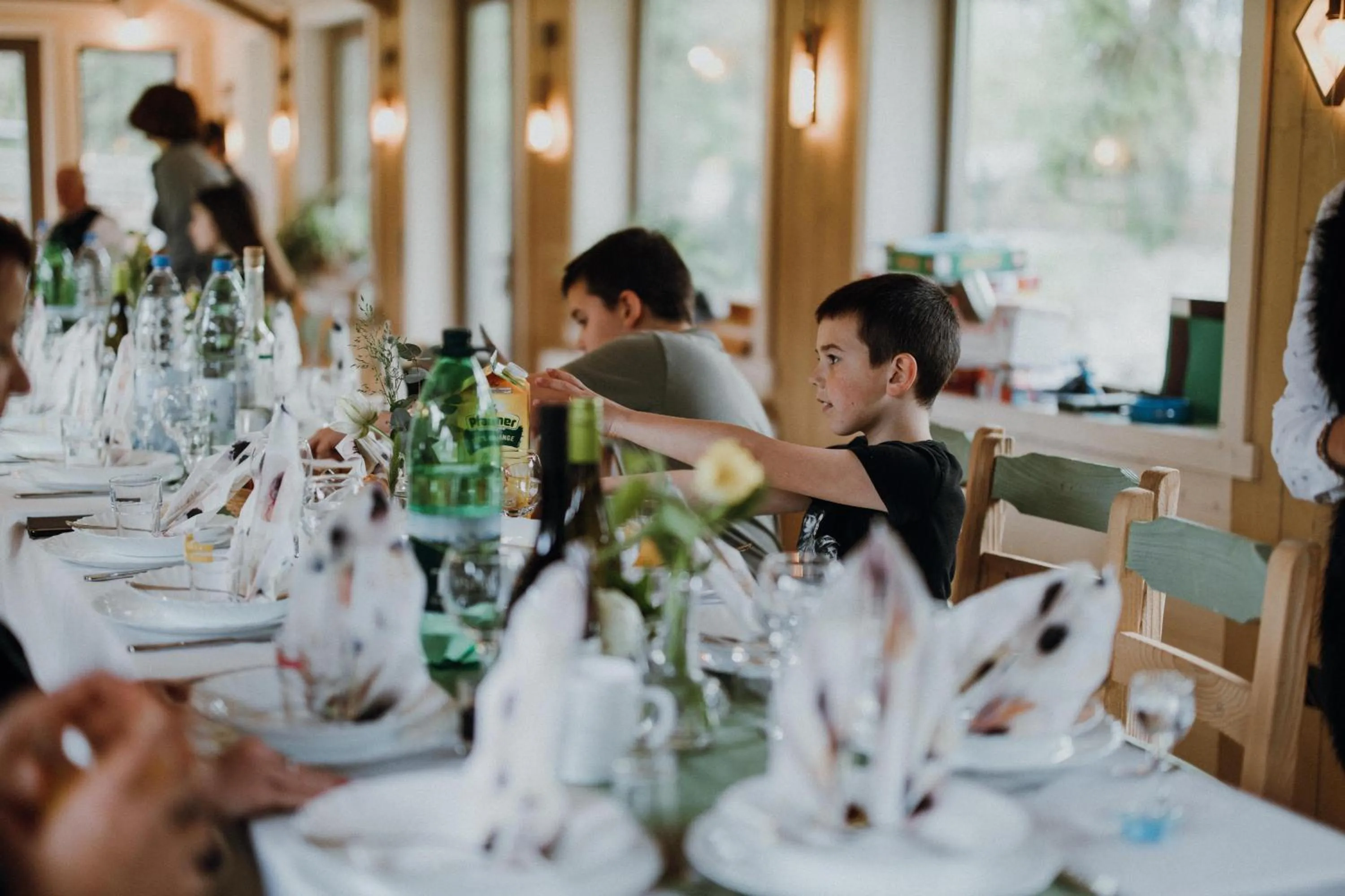 Restaurant/places to eat in Vidra Park