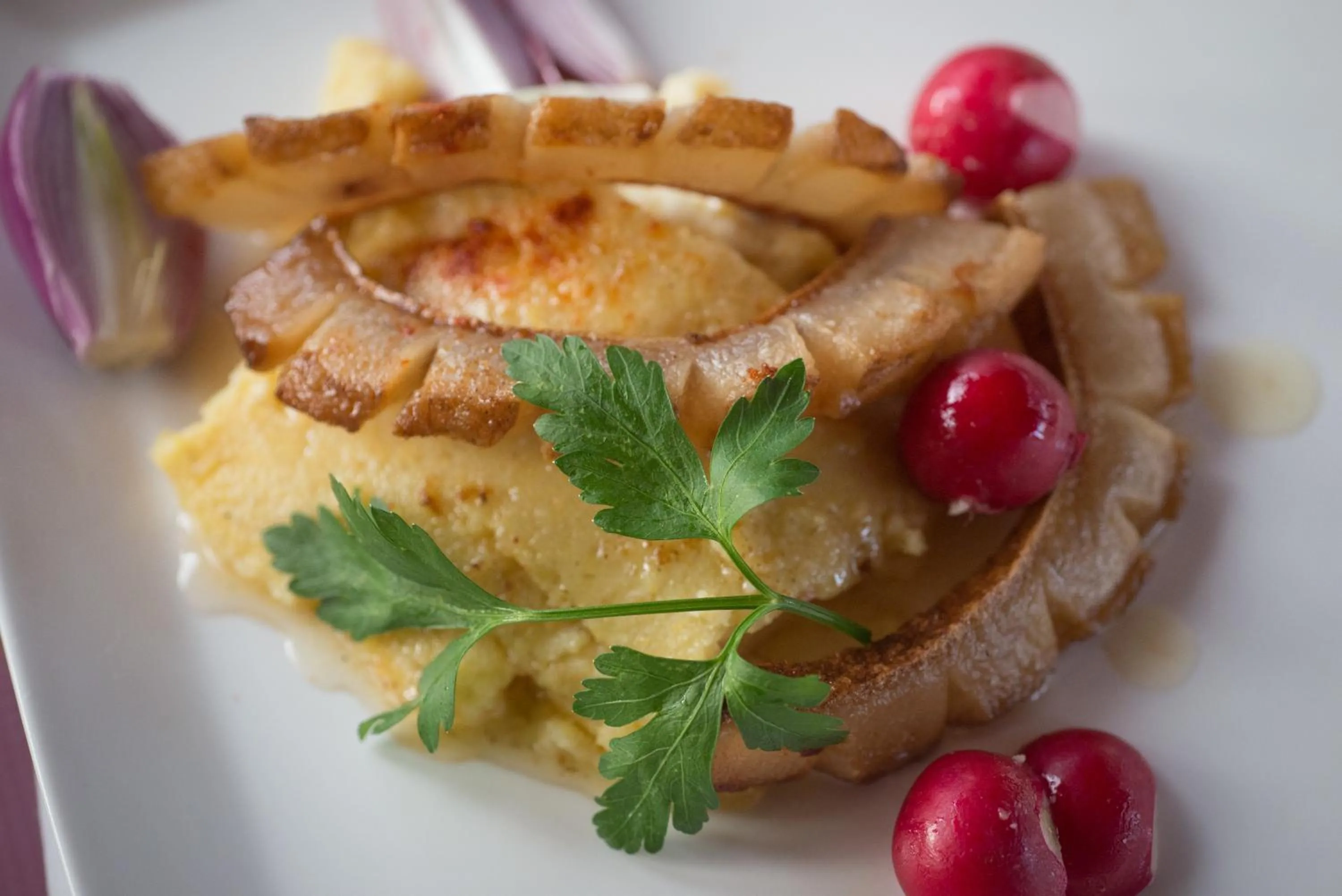 Time of day in Vidra Park