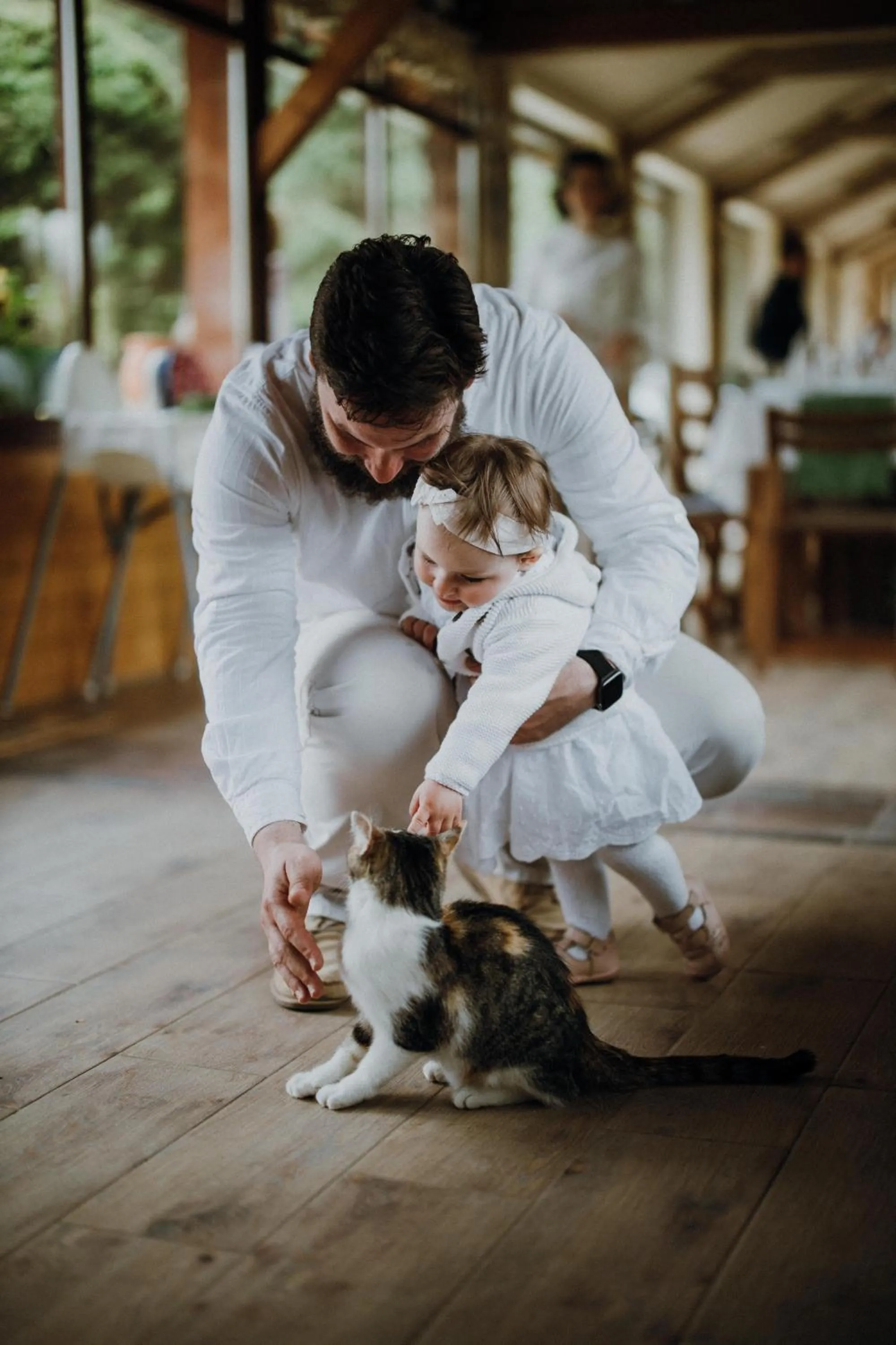 Property building in Vidra Park