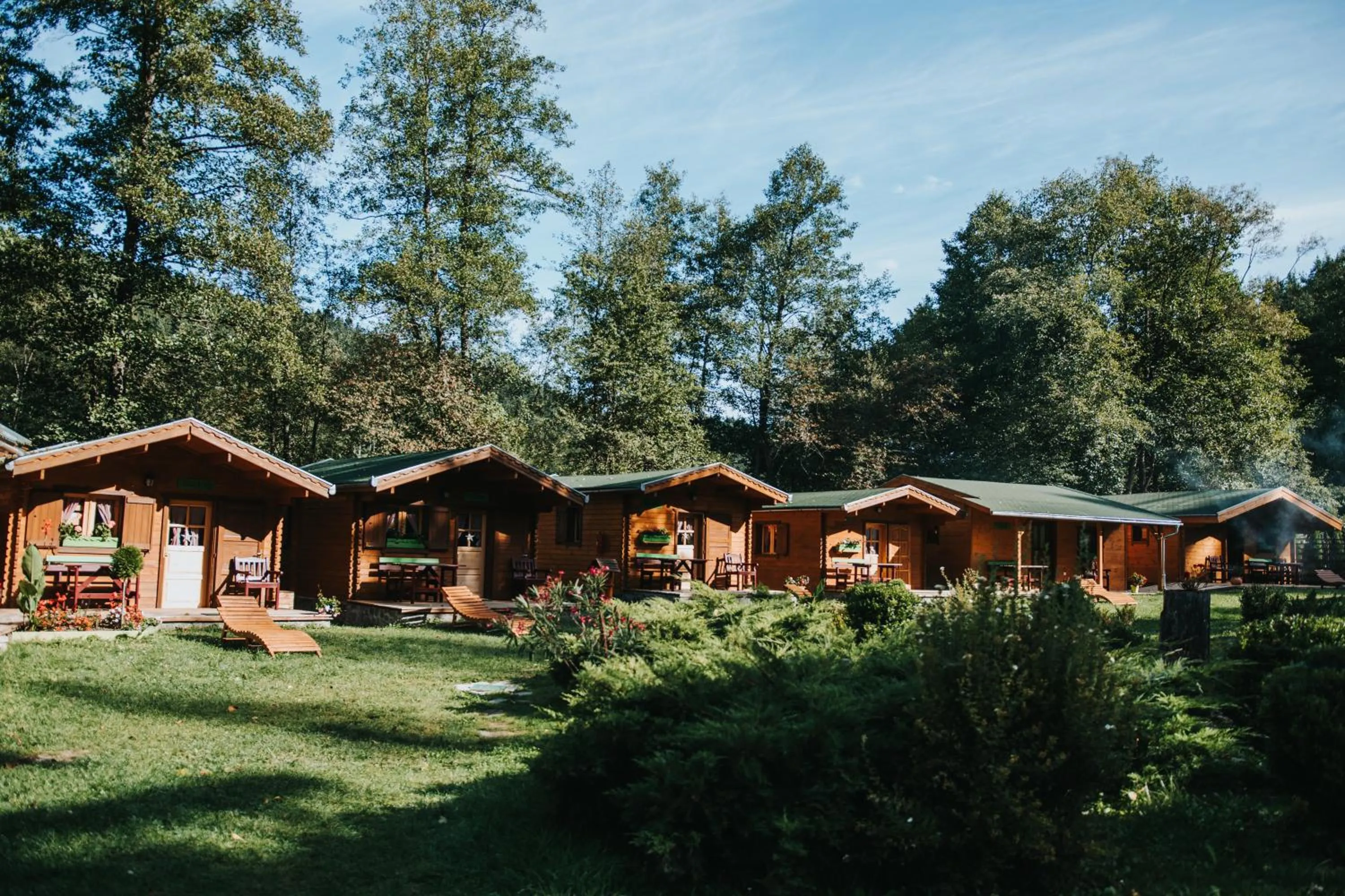 Property building in Vidra Park