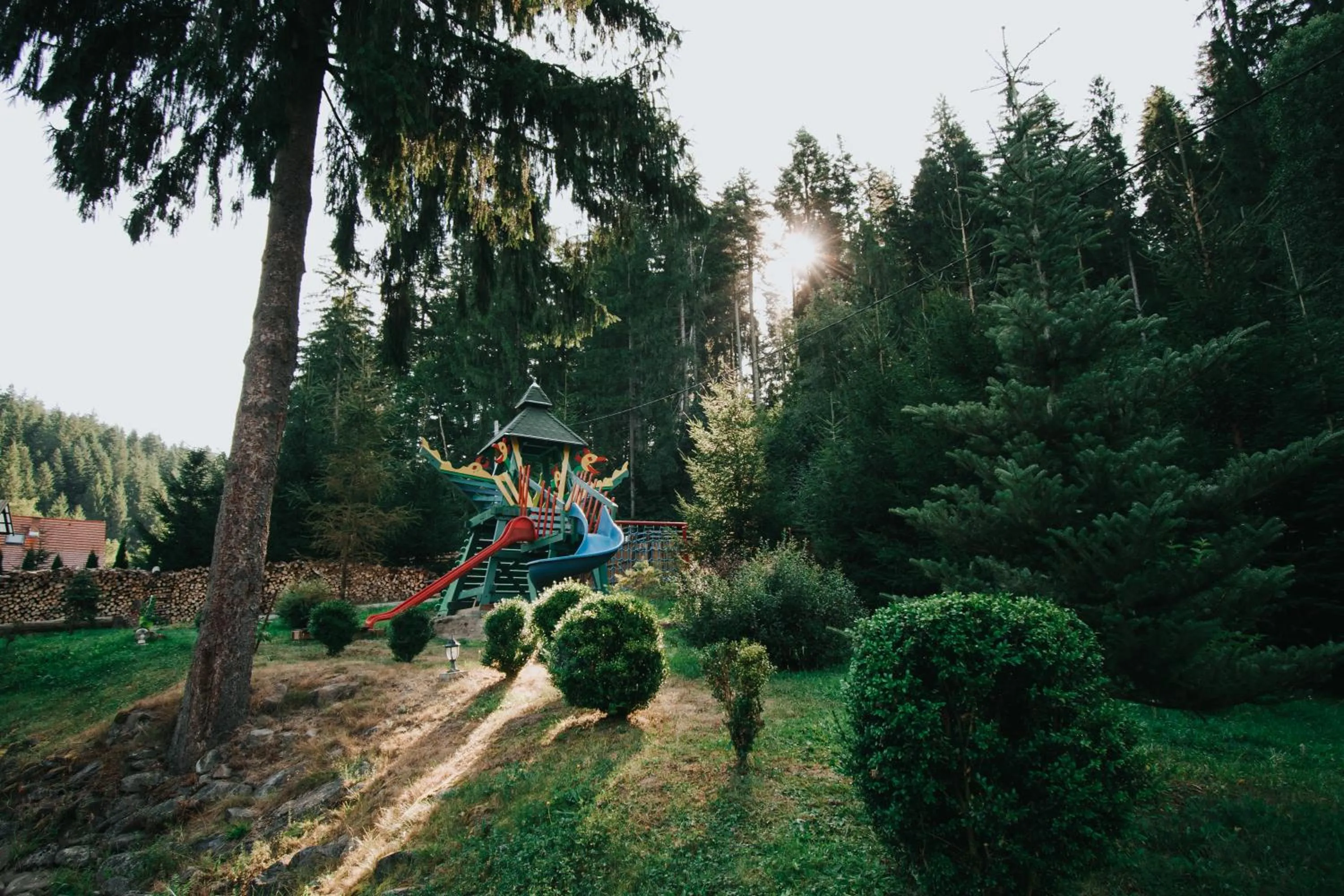 Children play ground in Vidra Park