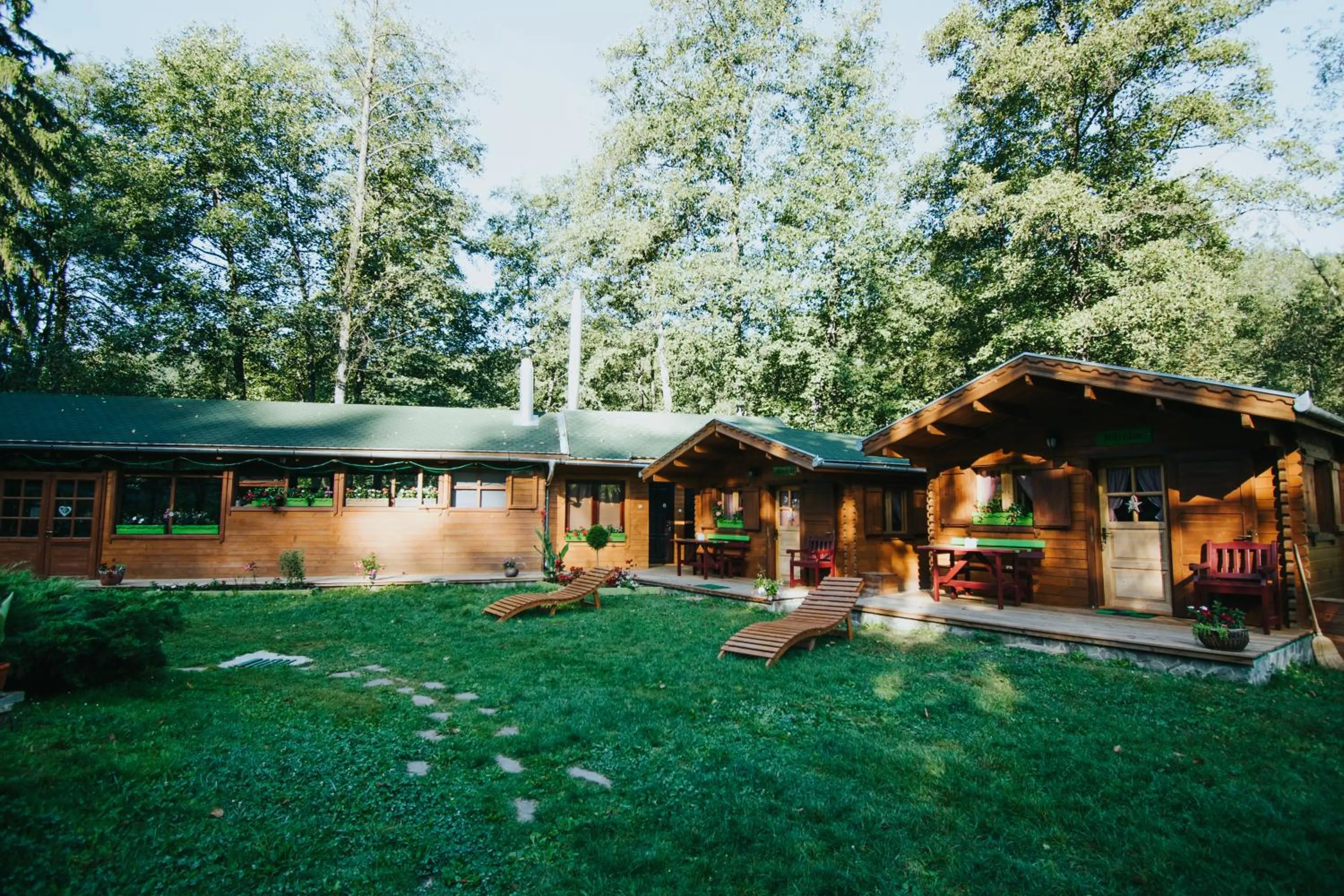 Property building in Vidra Park