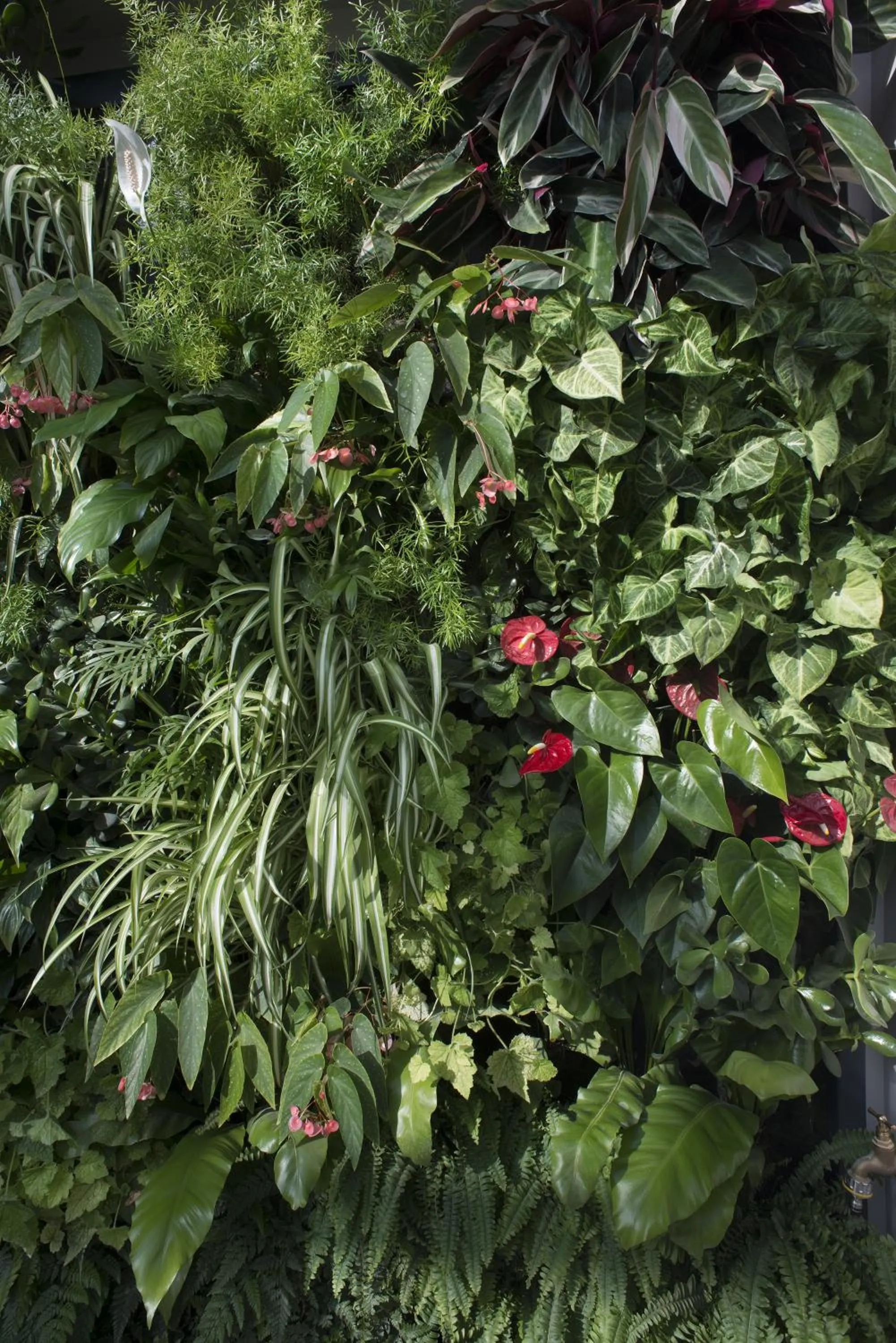 Domitys Les Cigales du Lubéron