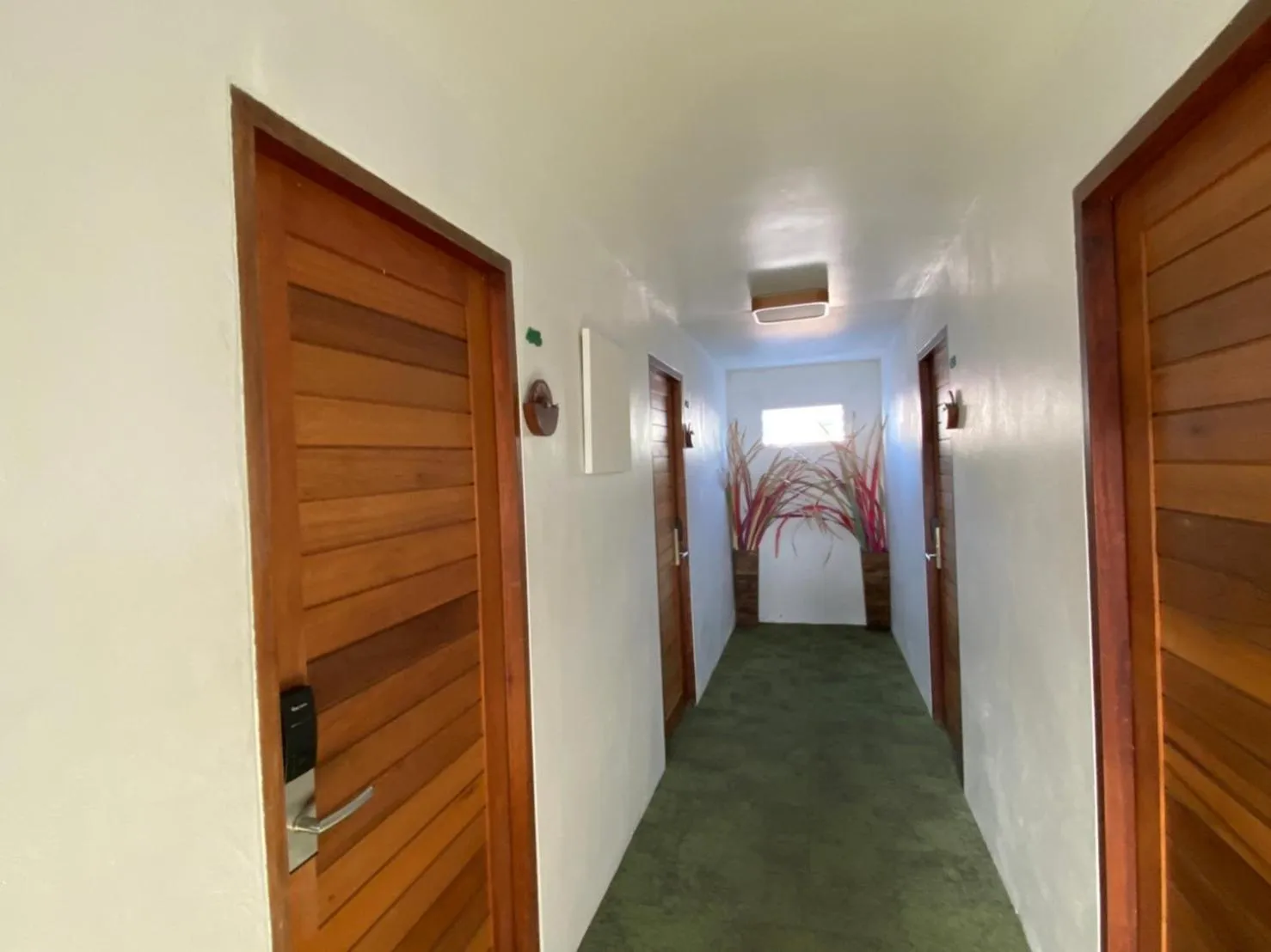 Property building in TATATA Koh Tao