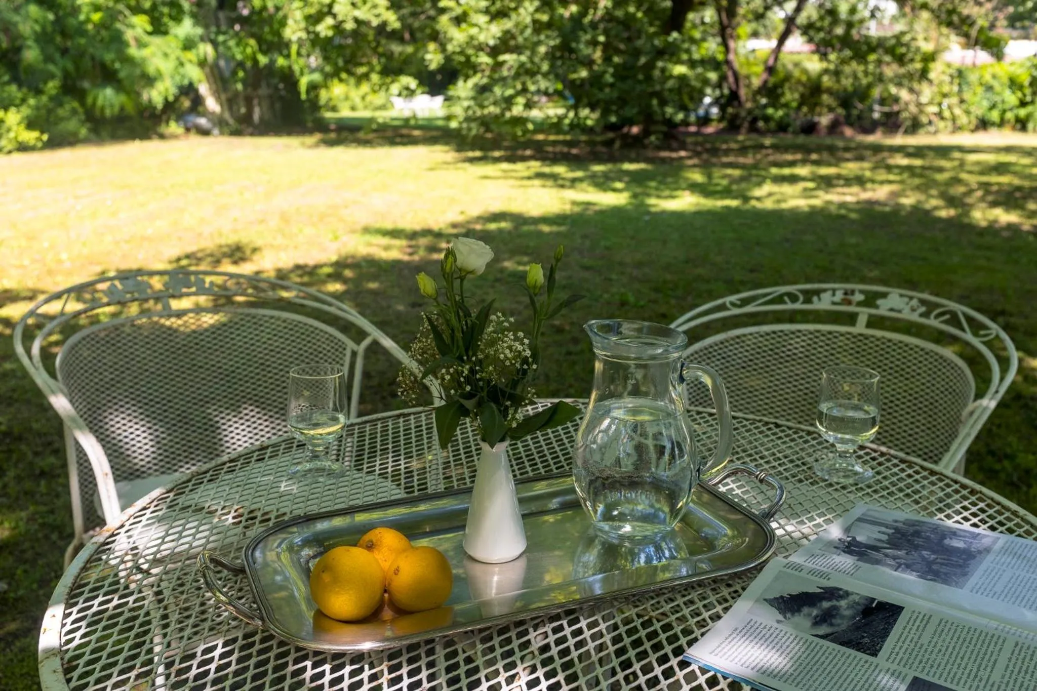 Garden in Hotel La Bussola