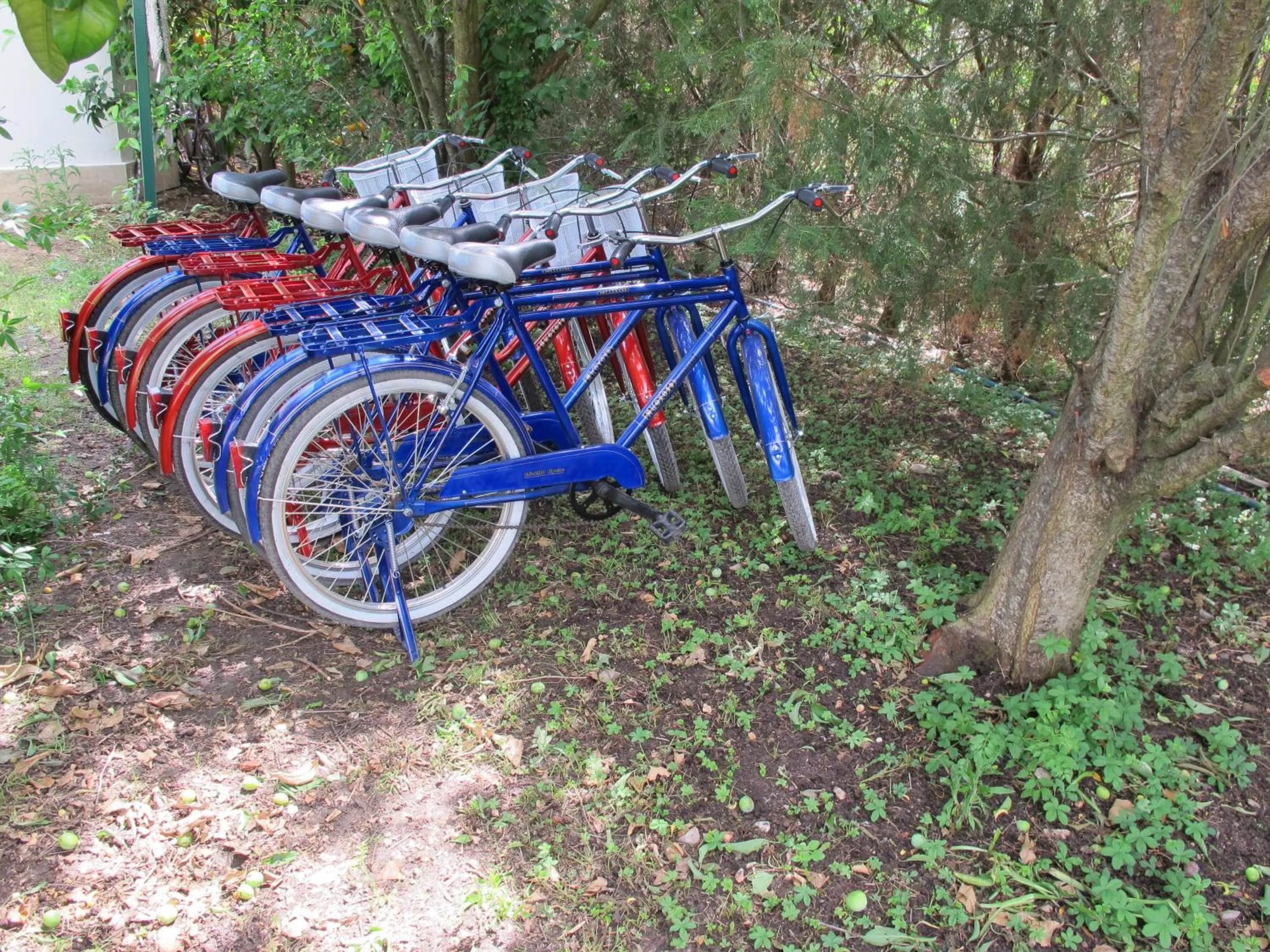 Garden in Hemerans Anatolia