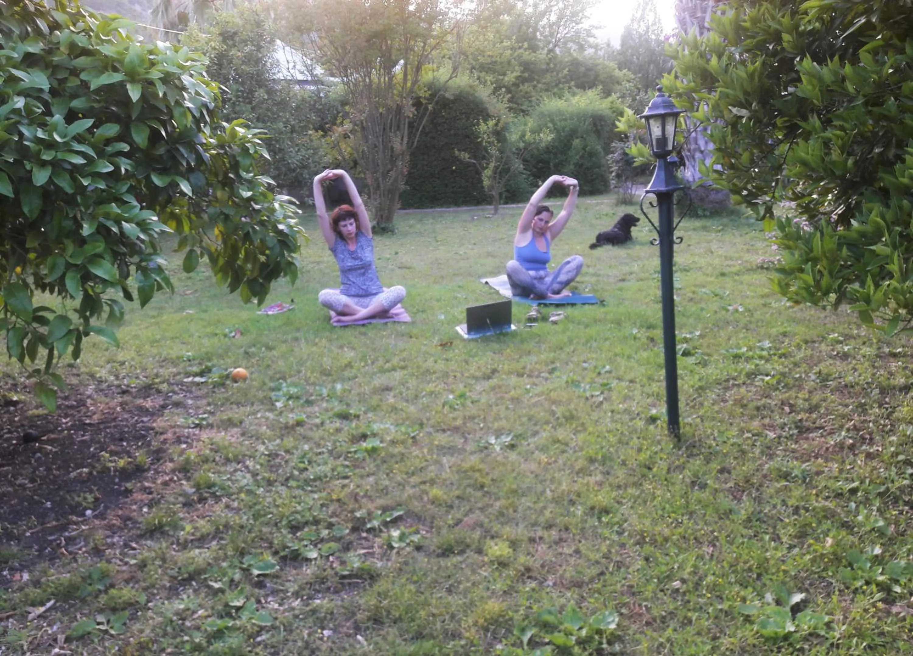 Garden in Hemerans Anatolia