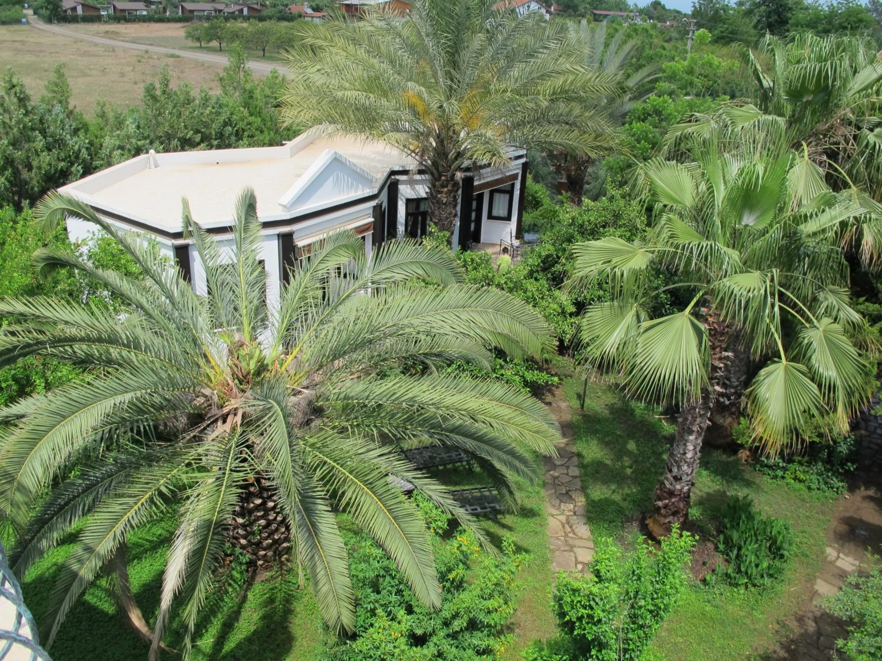 Photo of the whole room in Hemerans Anatolia