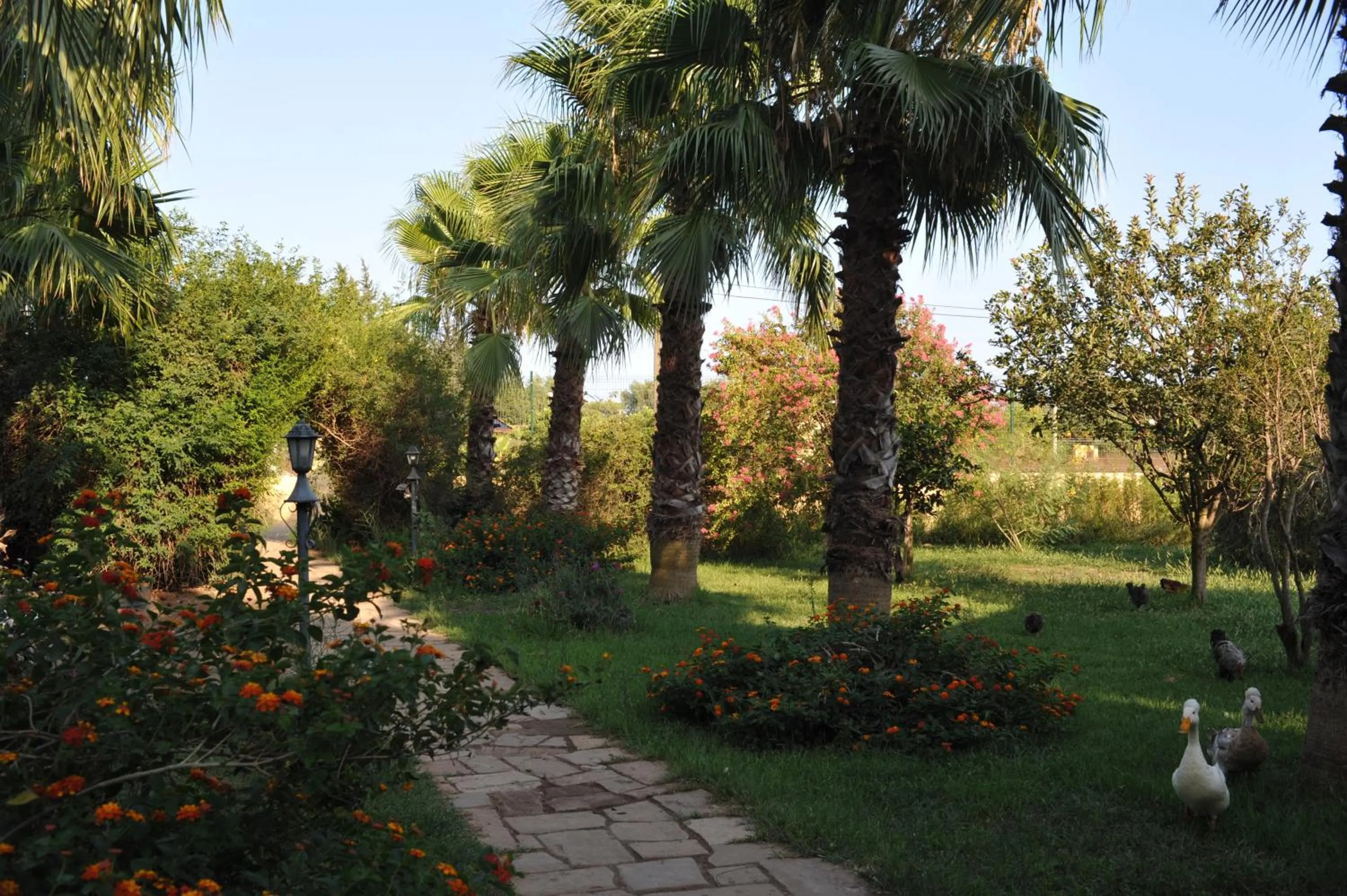 Garden in Hemerans Anatolia