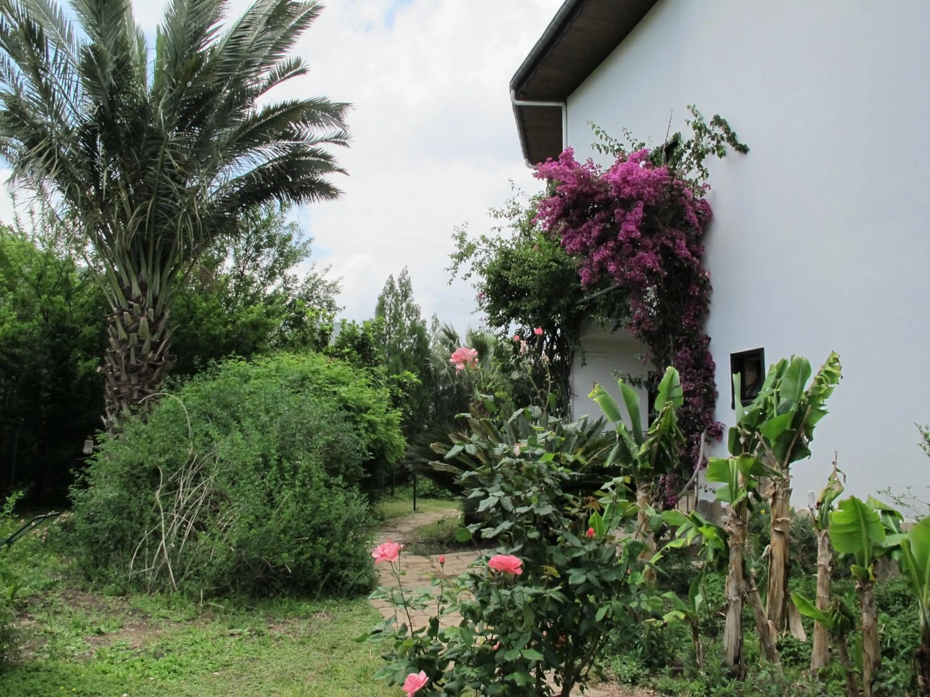 Facade/entrance in Hemerans Anatolia