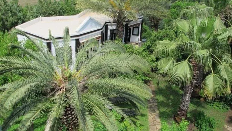 Balcony/Terrace in Hemerans Anatolia