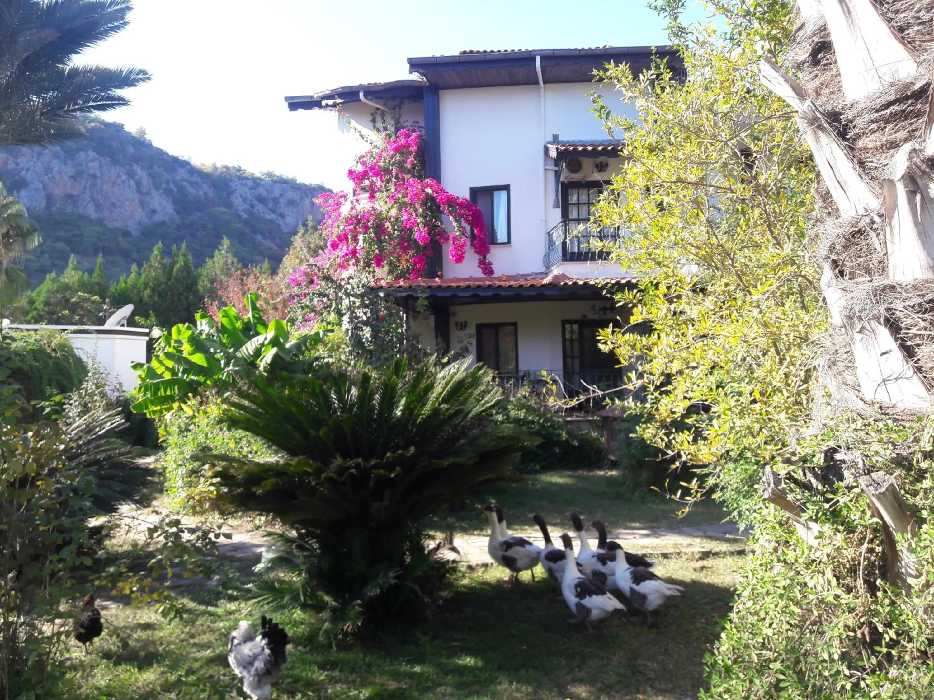 Facade/entrance in Hemerans Anatolia