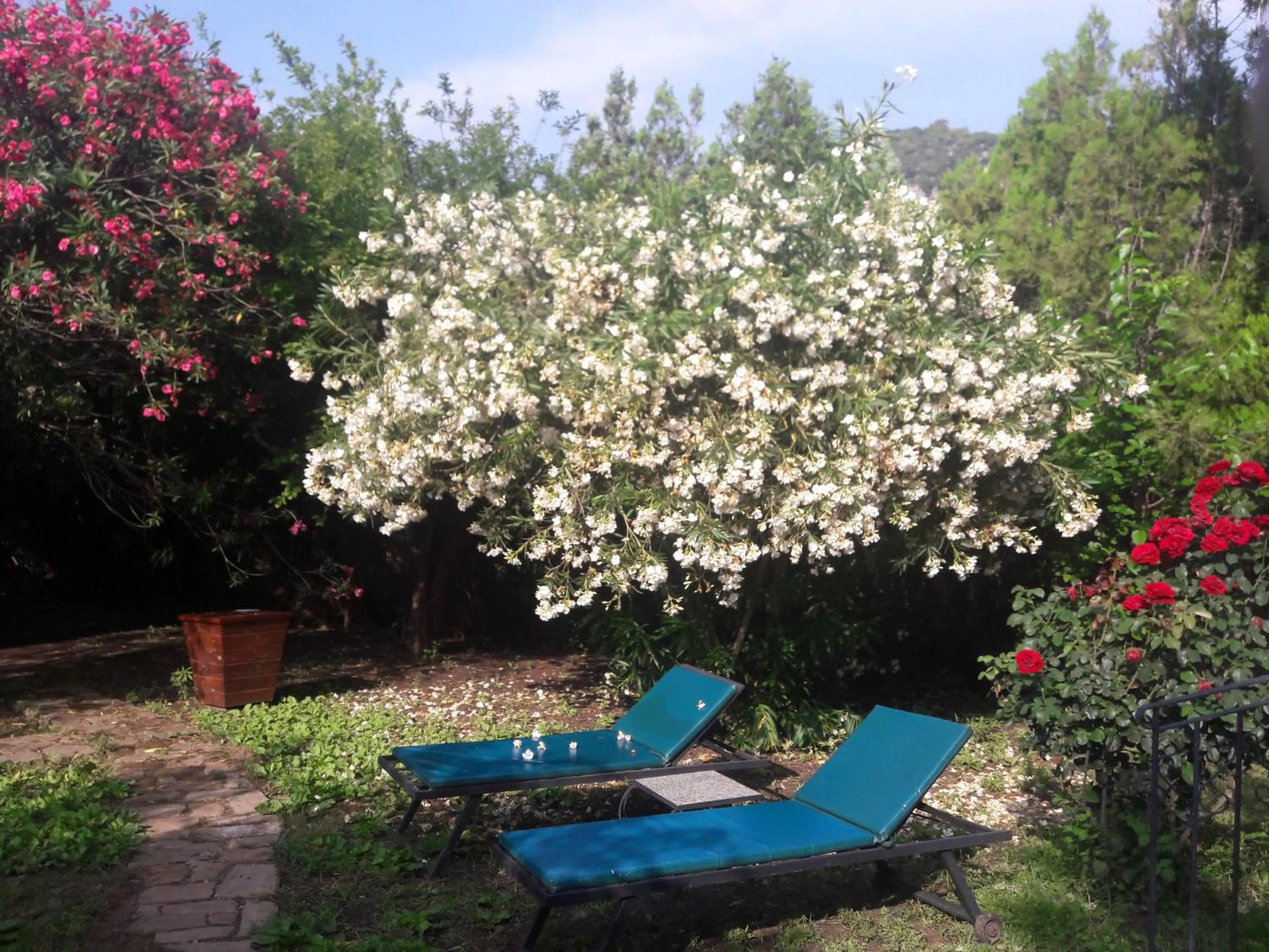 Spring in Hemerans Anatolia