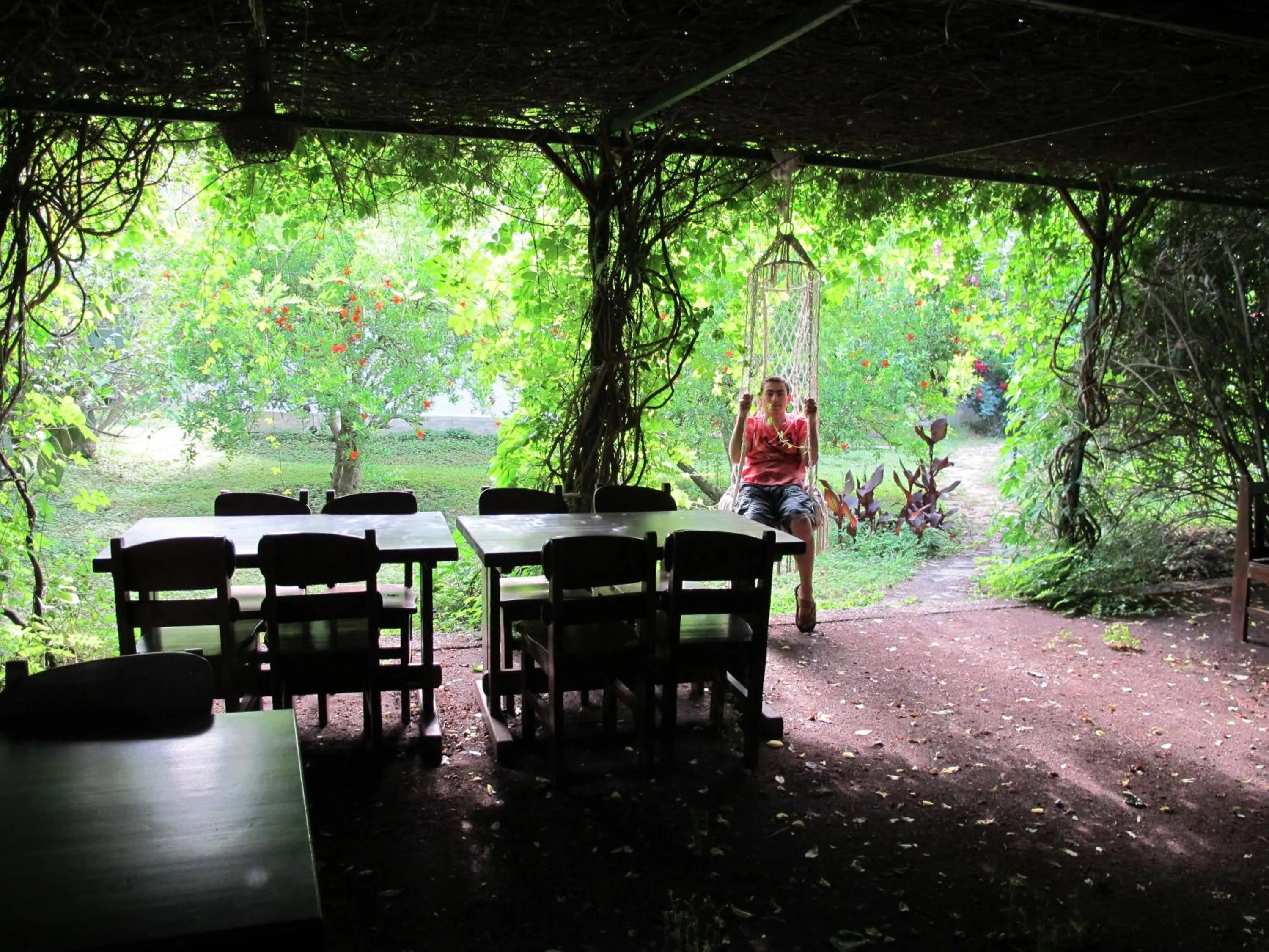 Restaurant/places to eat in Hemerans Anatolia