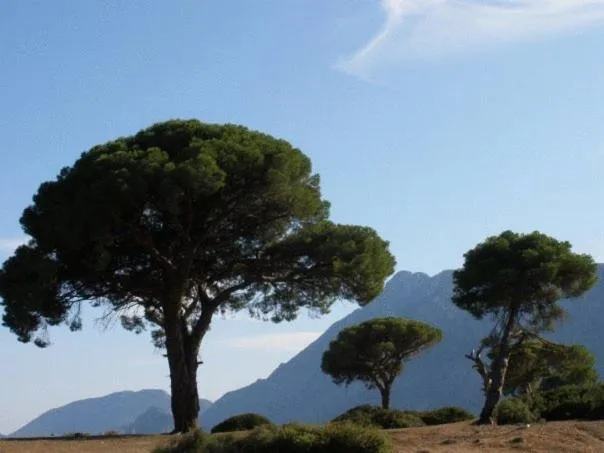 Natural landscape in Hemerans Anatolia