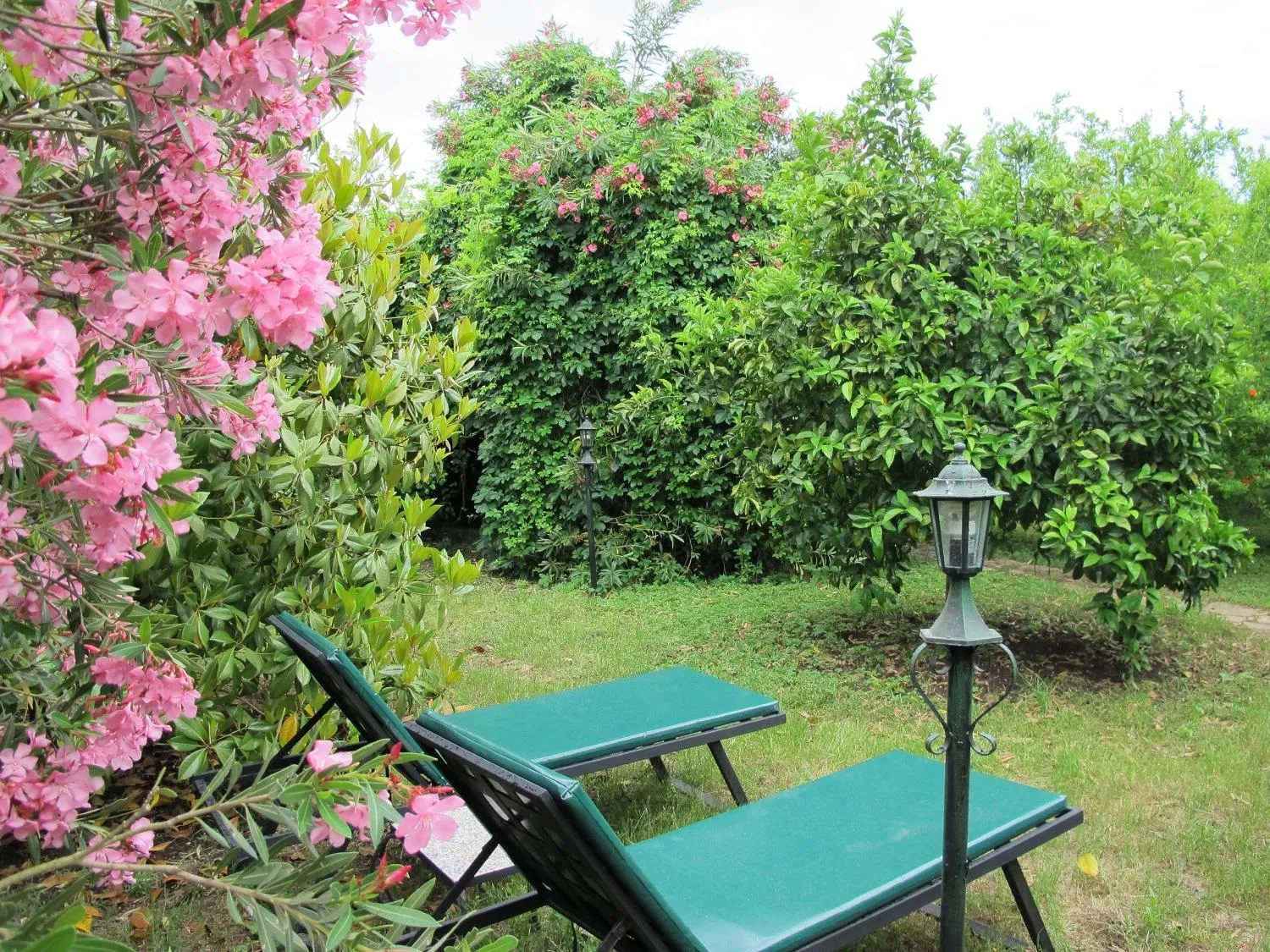 Garden view in Hemerans Anatolia