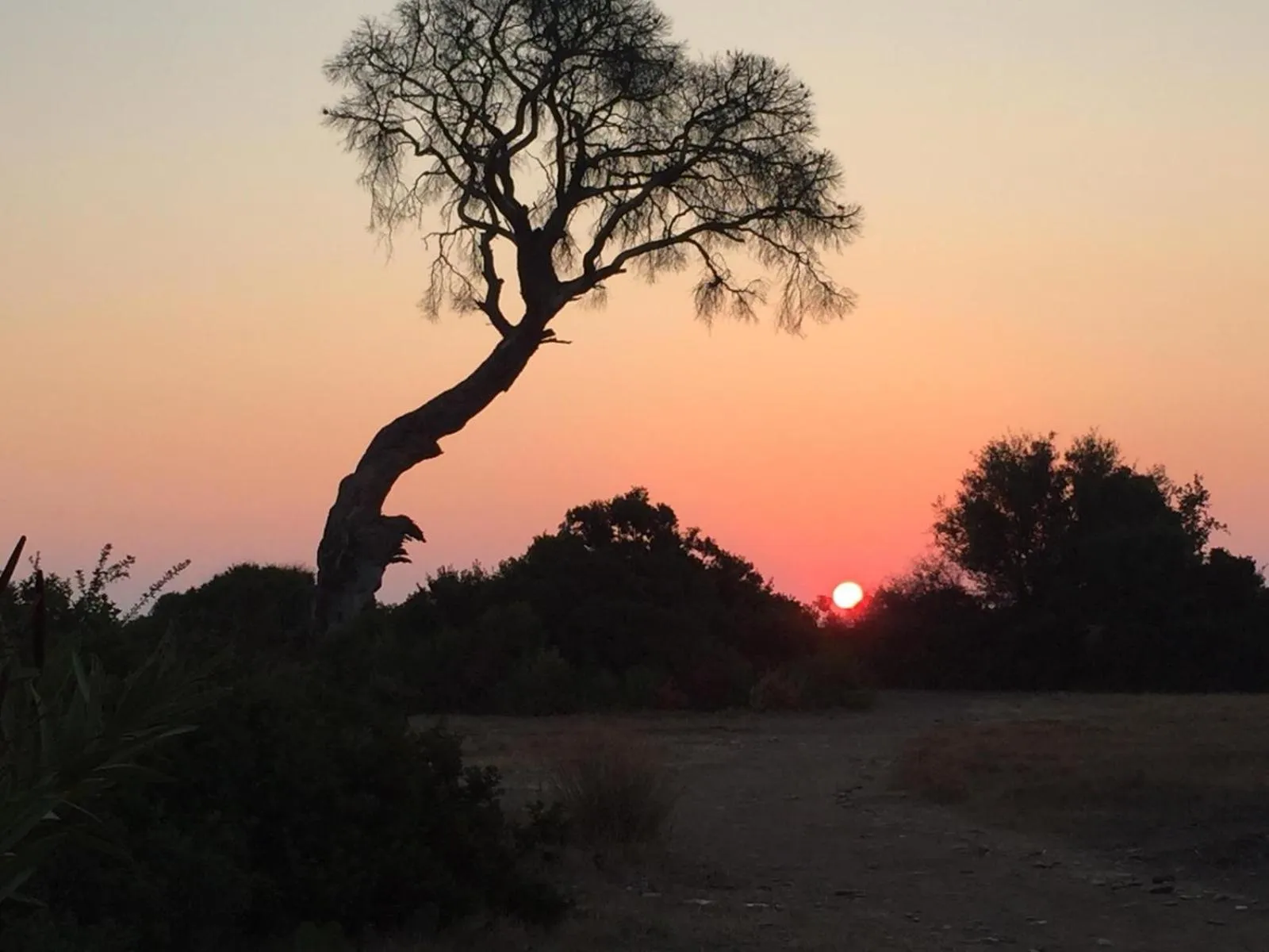 Natural landscape in Hemerans Anatolia