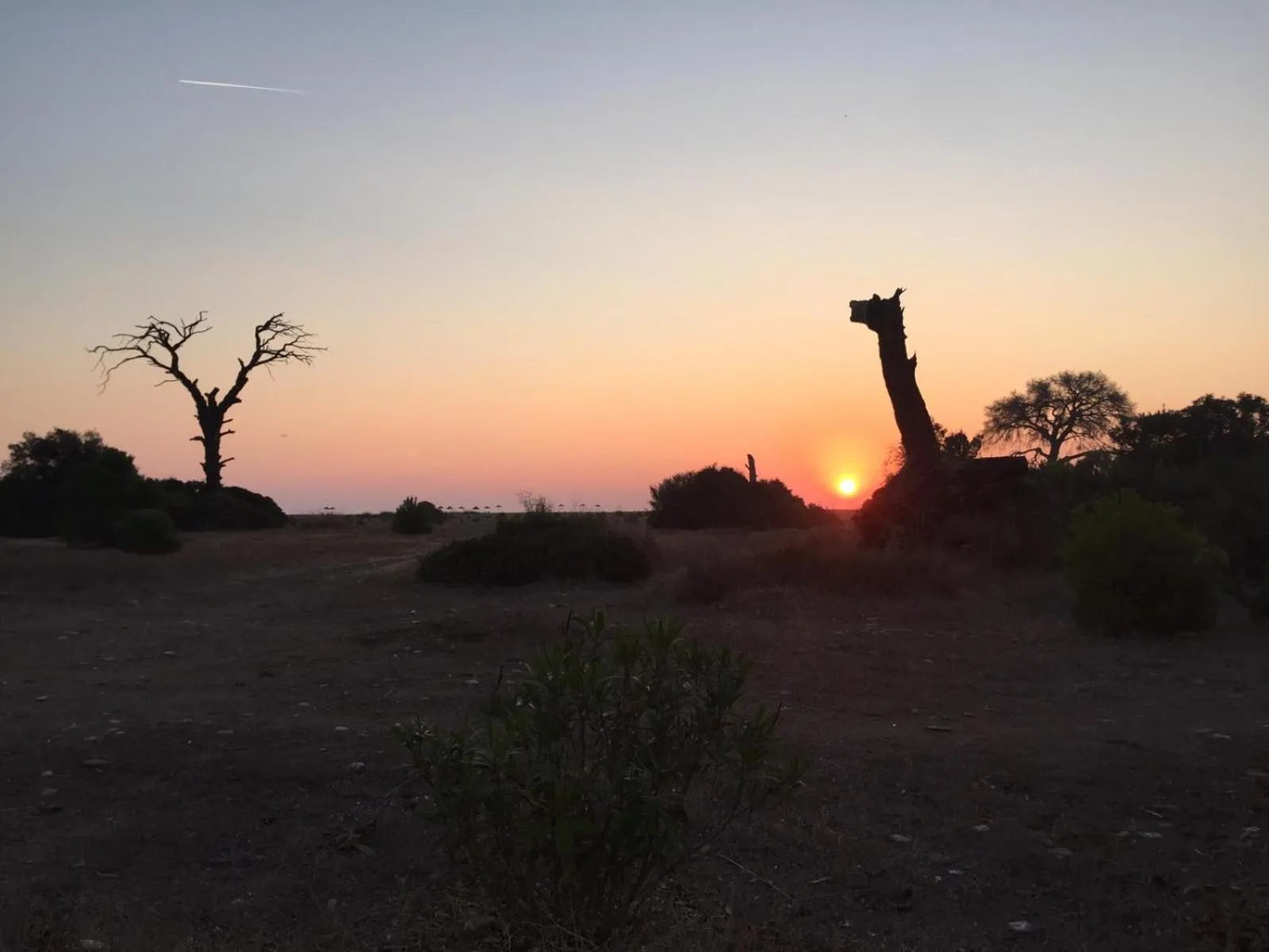 Natural landscape in Hemerans Anatolia