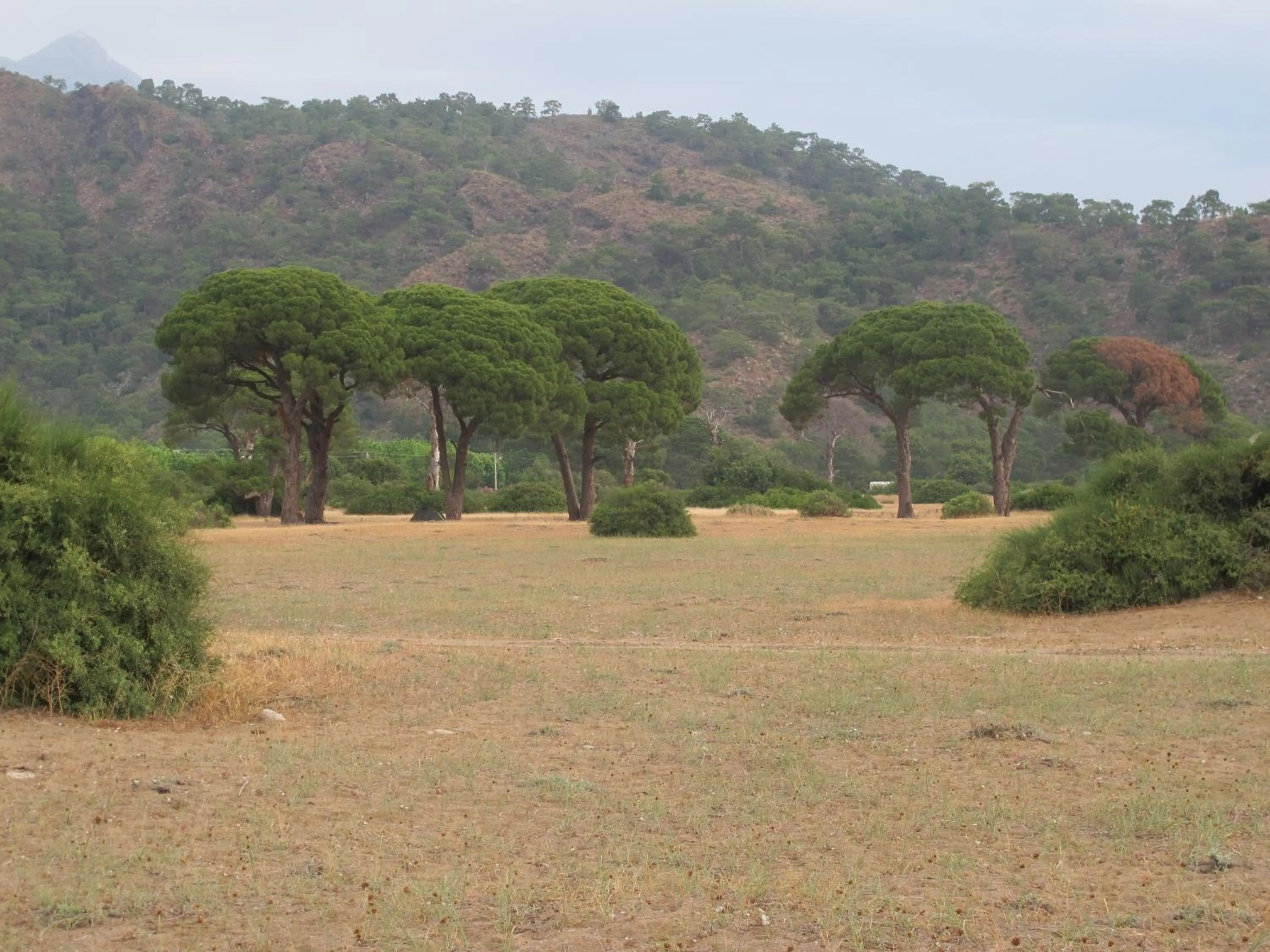 Natural landscape in Hemerans Anatolia