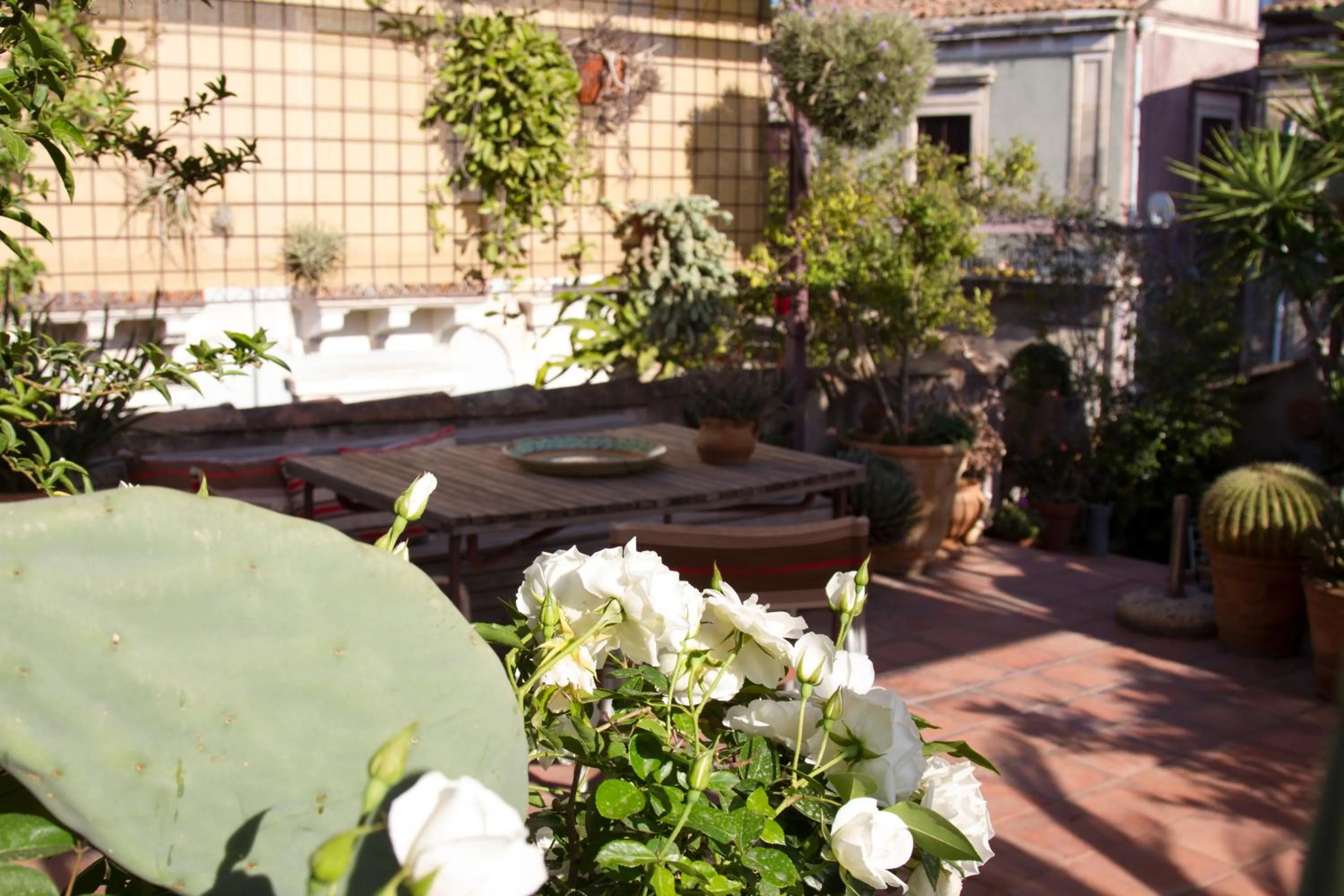 Balcony/Terrace in Tre Vie apARTment con terrazza