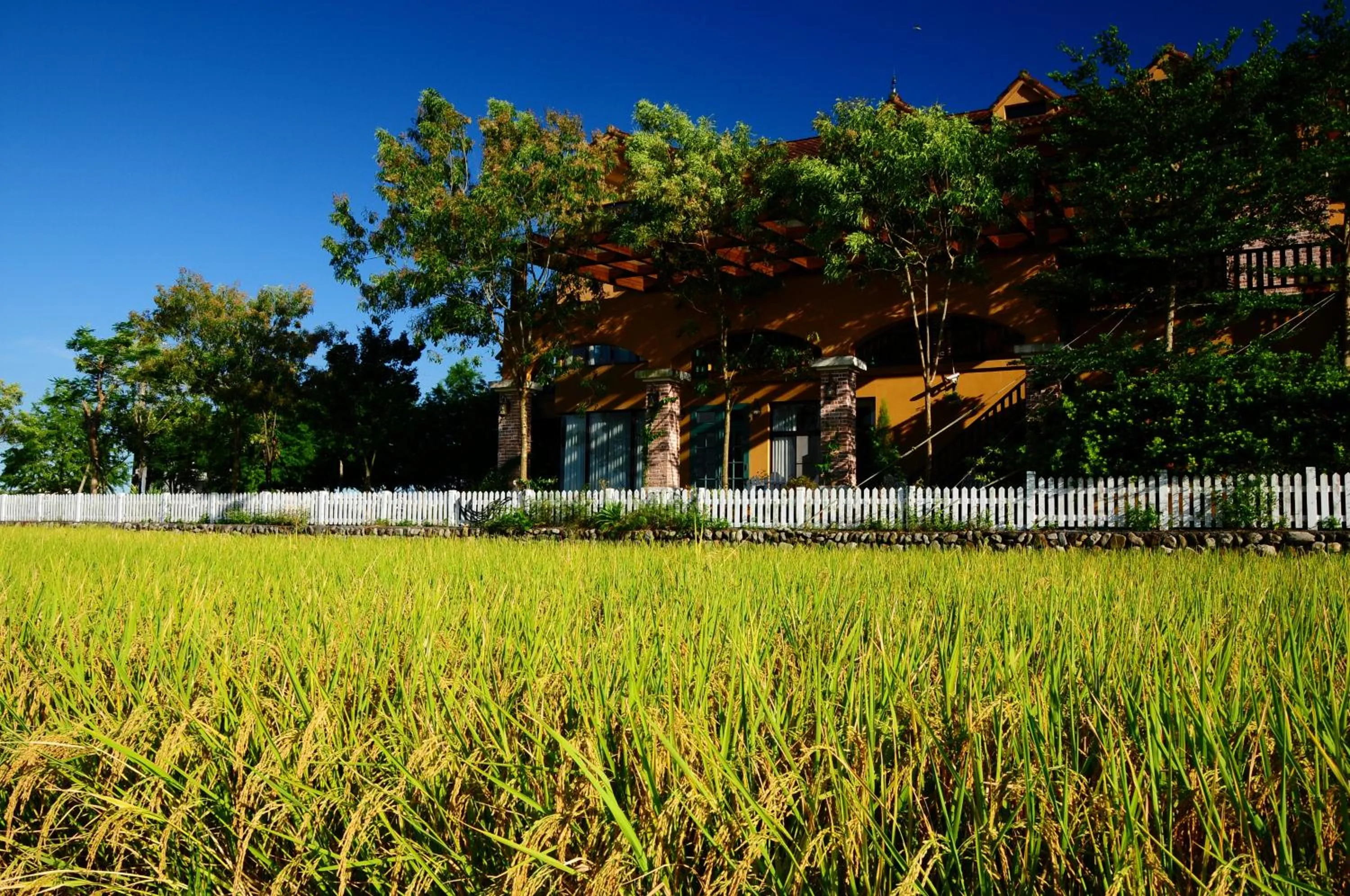 Facade/entrance in Sunday Home
