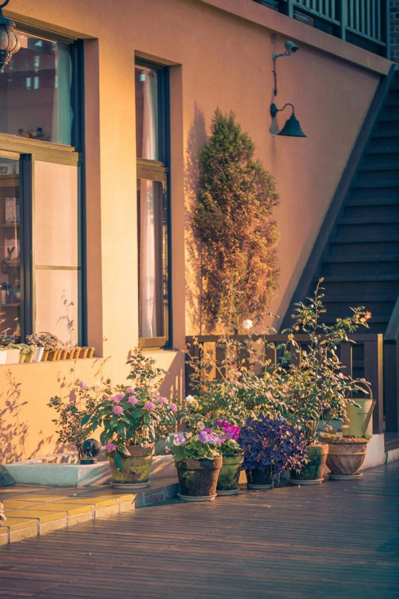 Property building in Sunday Home