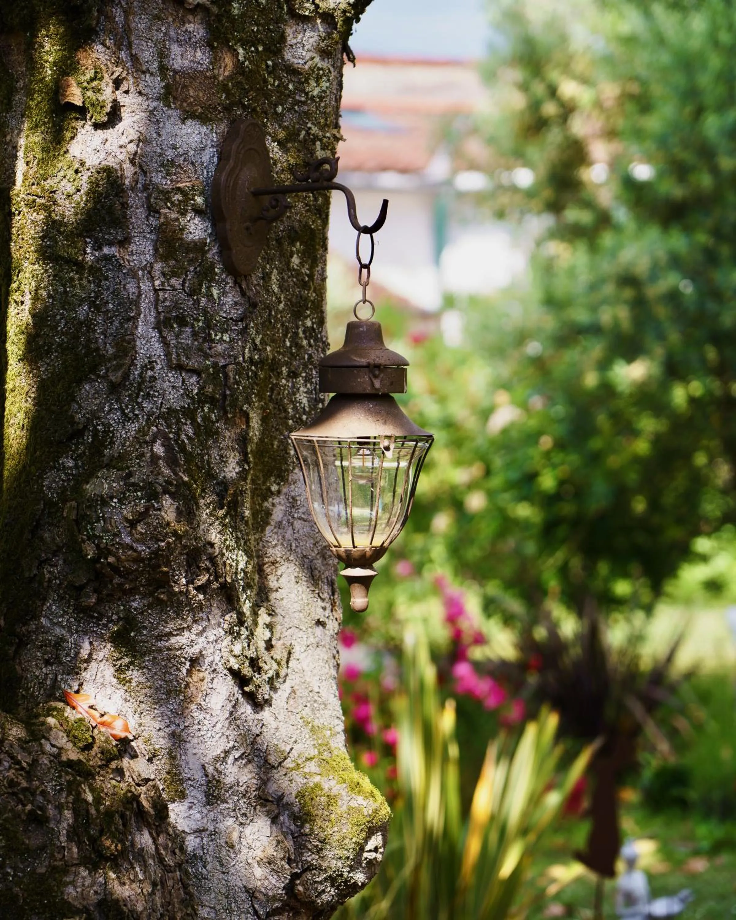 Garden in La Maison Florence