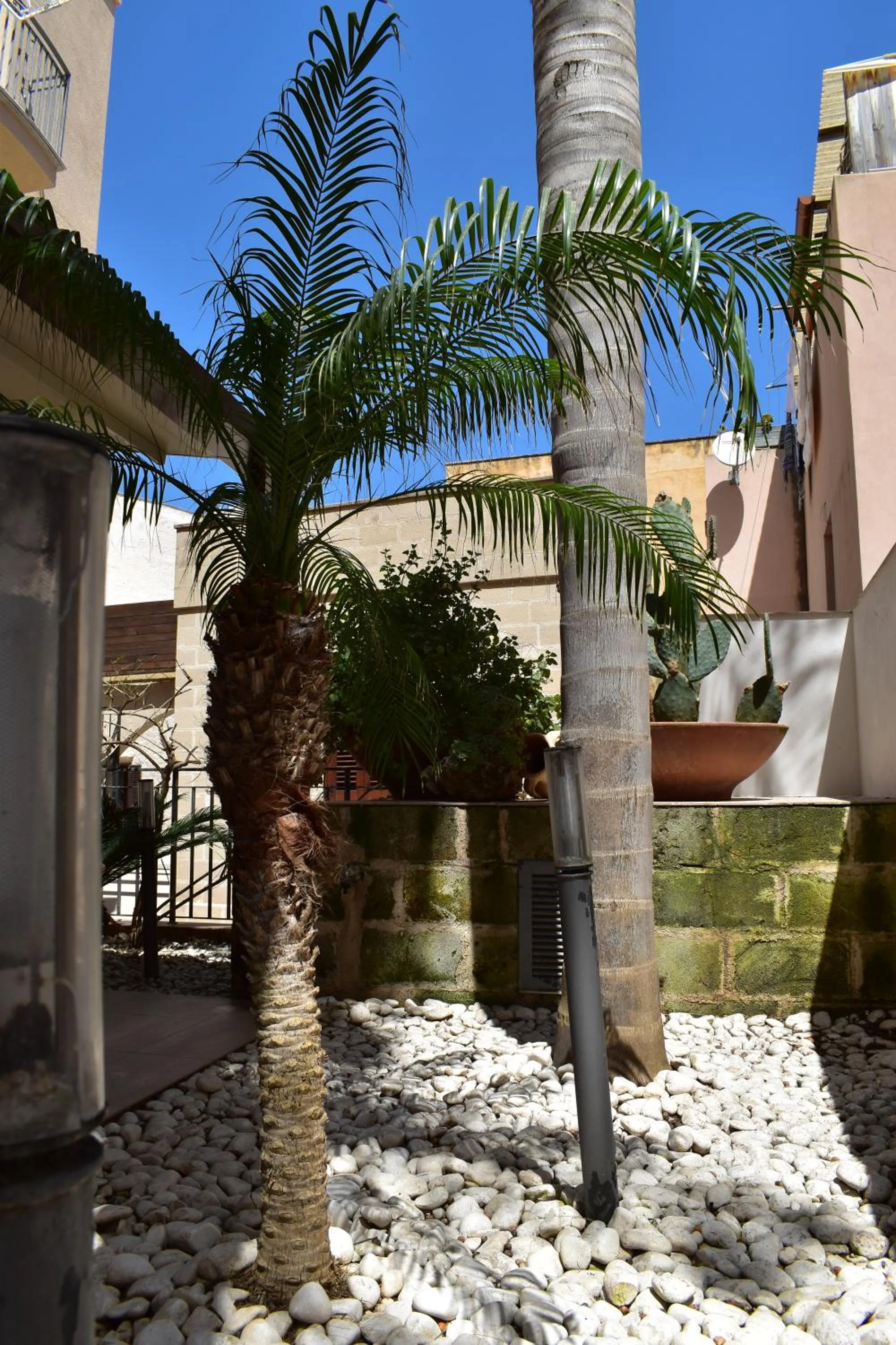 Garden in Hotel Il Portico